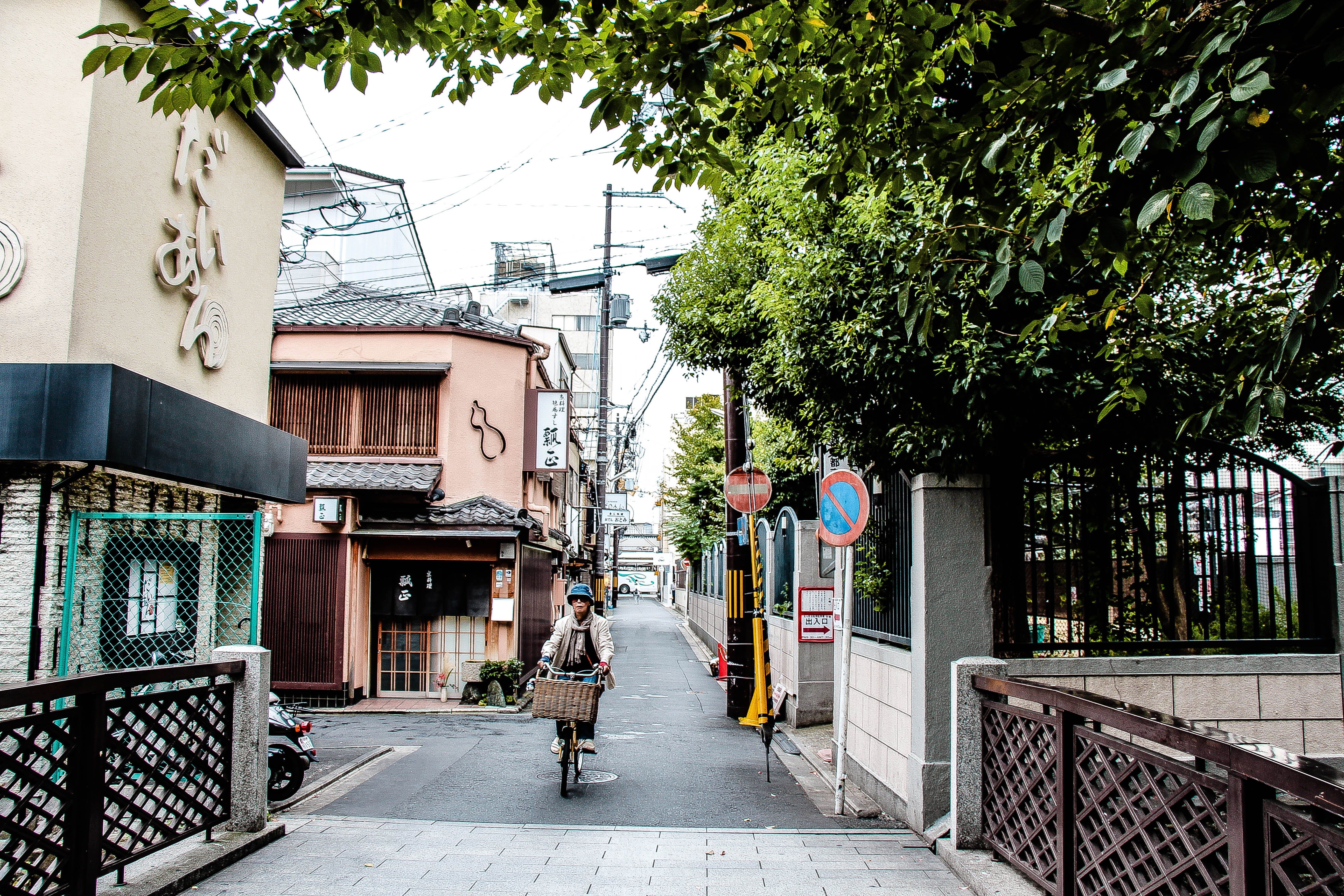 girls, tree, building exterior, japanese, plant, men, japan, city, alley, walking, day, bicycle, bicycles, footpath, built structure, travel, kyoto, bridge, HD Wallpaper