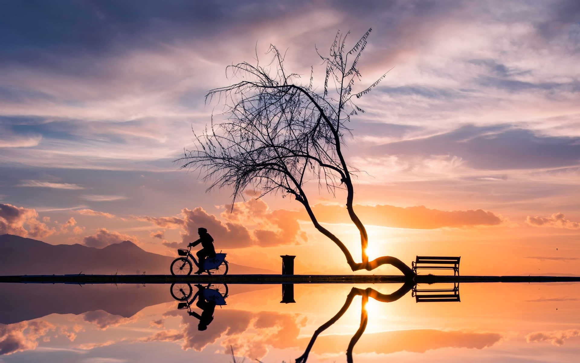 Bicycle, Silhouette, Reflection, Woman, 1080P, Water, riding, Tree, Sunset, man, HD Wallpaper