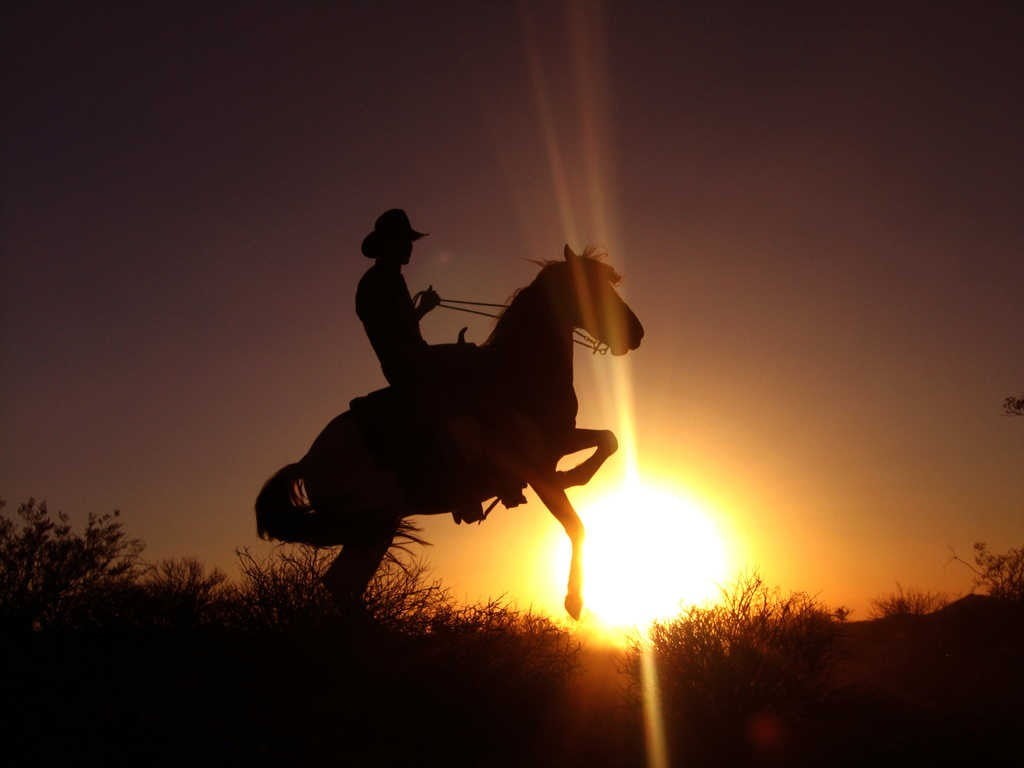 men, ride, sun, full length, horse, nature, sun rays, cowboy, sunlight, plant, one person, cowboys, orange color, silhouette, sky, lifestyles, sunset, riding, HD Wallpaper