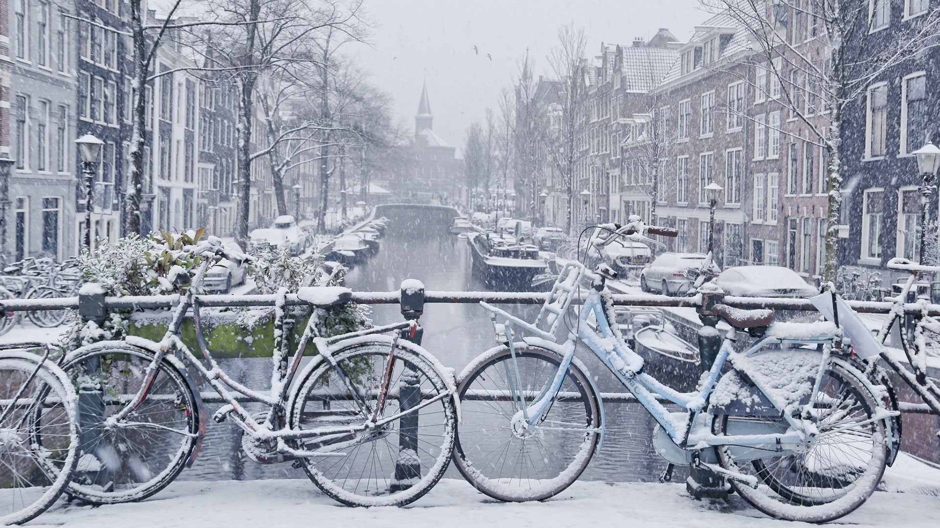 1080P, bikes, canal, europe, snow, winter, netherlands, bicycle, amsterdam, HD Wallpaper