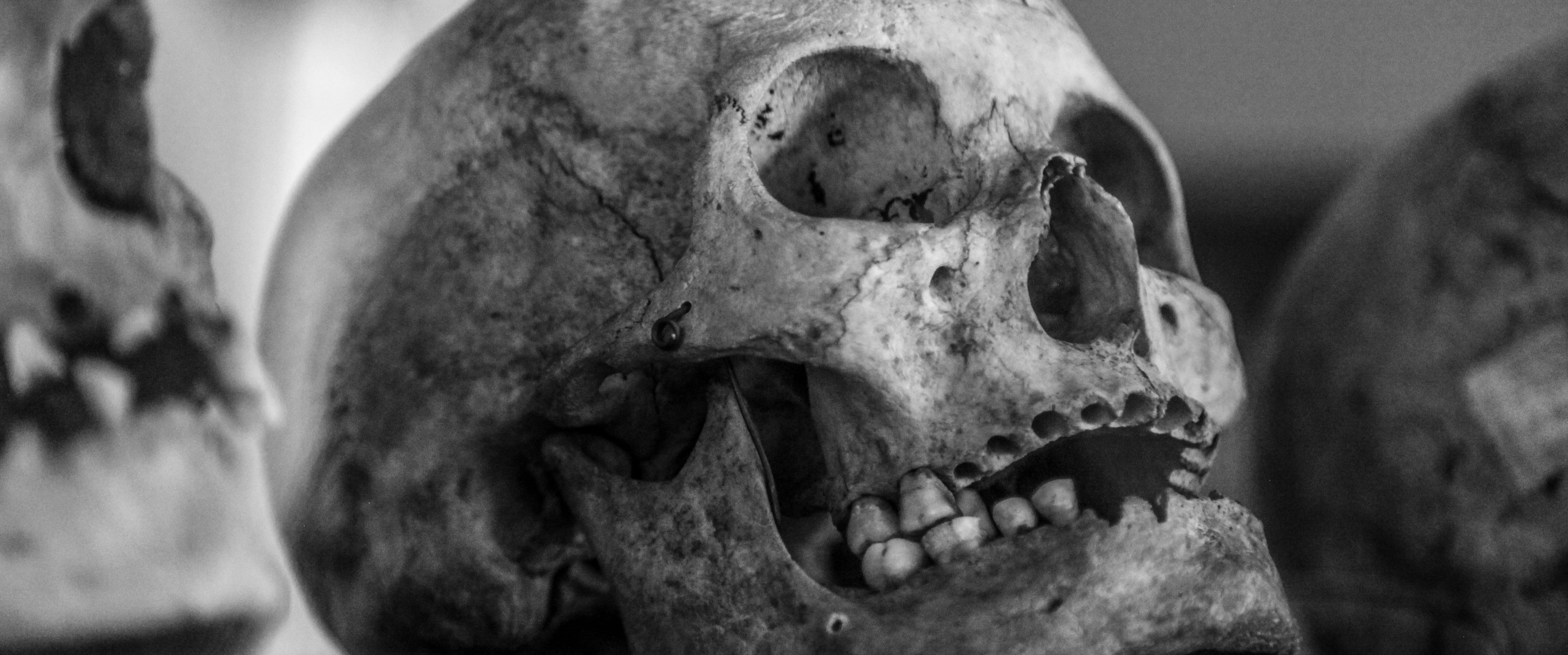 alchemist, old, photographed, mouth open, black and white, body part, gray, animal body part, focus, human body part, gothic, the past, animal teeth, history, HD Wallpaper