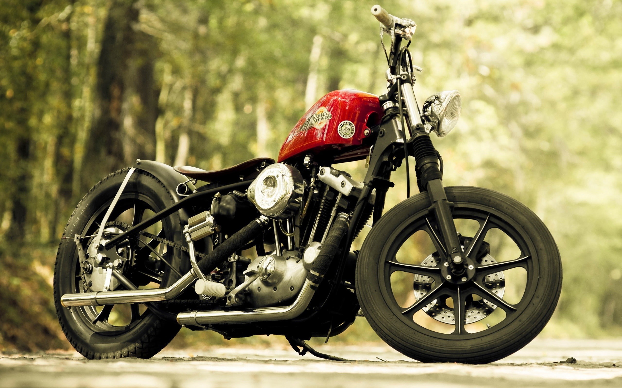 land vehicle, headwear, tree, outdoors, nature, road, no people, cruiser, day, land, motorcycle racing, sports helmet, mode of transportation, plant, Harley Davidson, HD Wallpaper