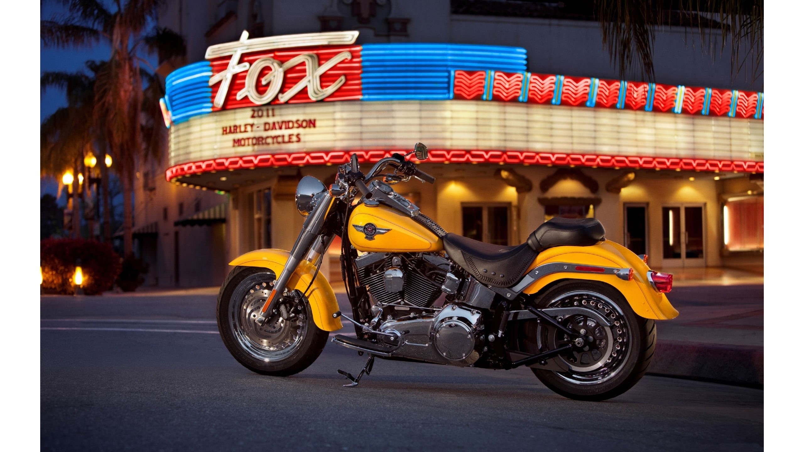 street, city, land vehicle, blurred motion, illuminated, outdoors, city life, city street, motor vehicle, 2K, mode of transportation, travel, road, Harley Davidson, HD Wallpaper