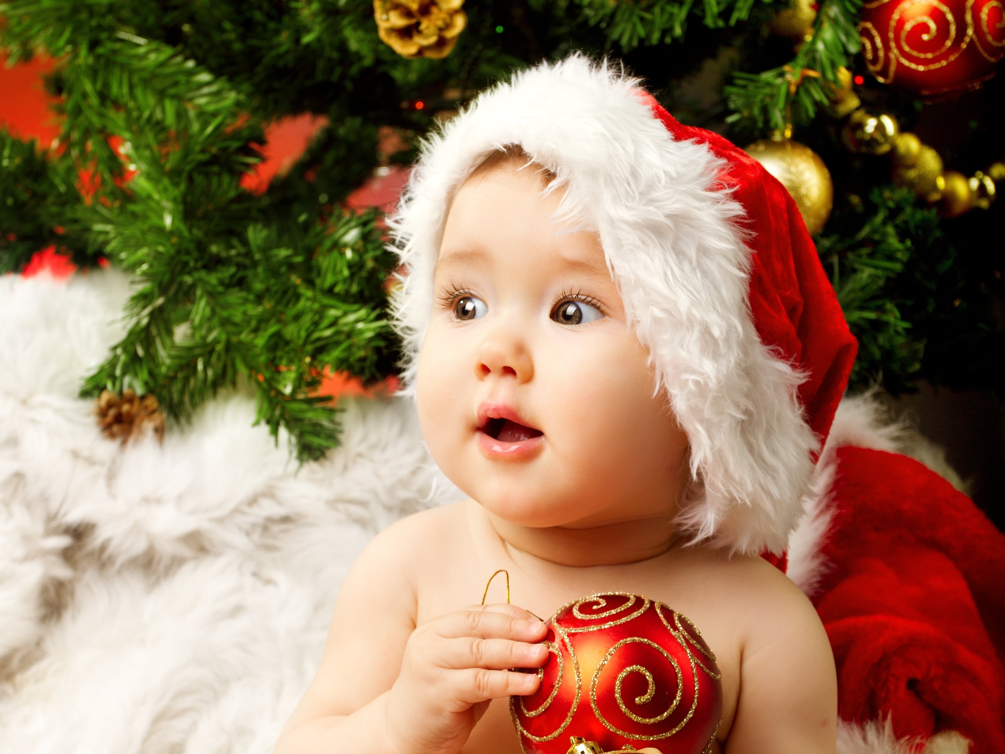 sitting, celebration, portrait, baby, happiness, New year, Christmas tree, small, christmas, happy, boys, christmas Present, human Face, front view, holidays And Celebrations, HD Wallpaper