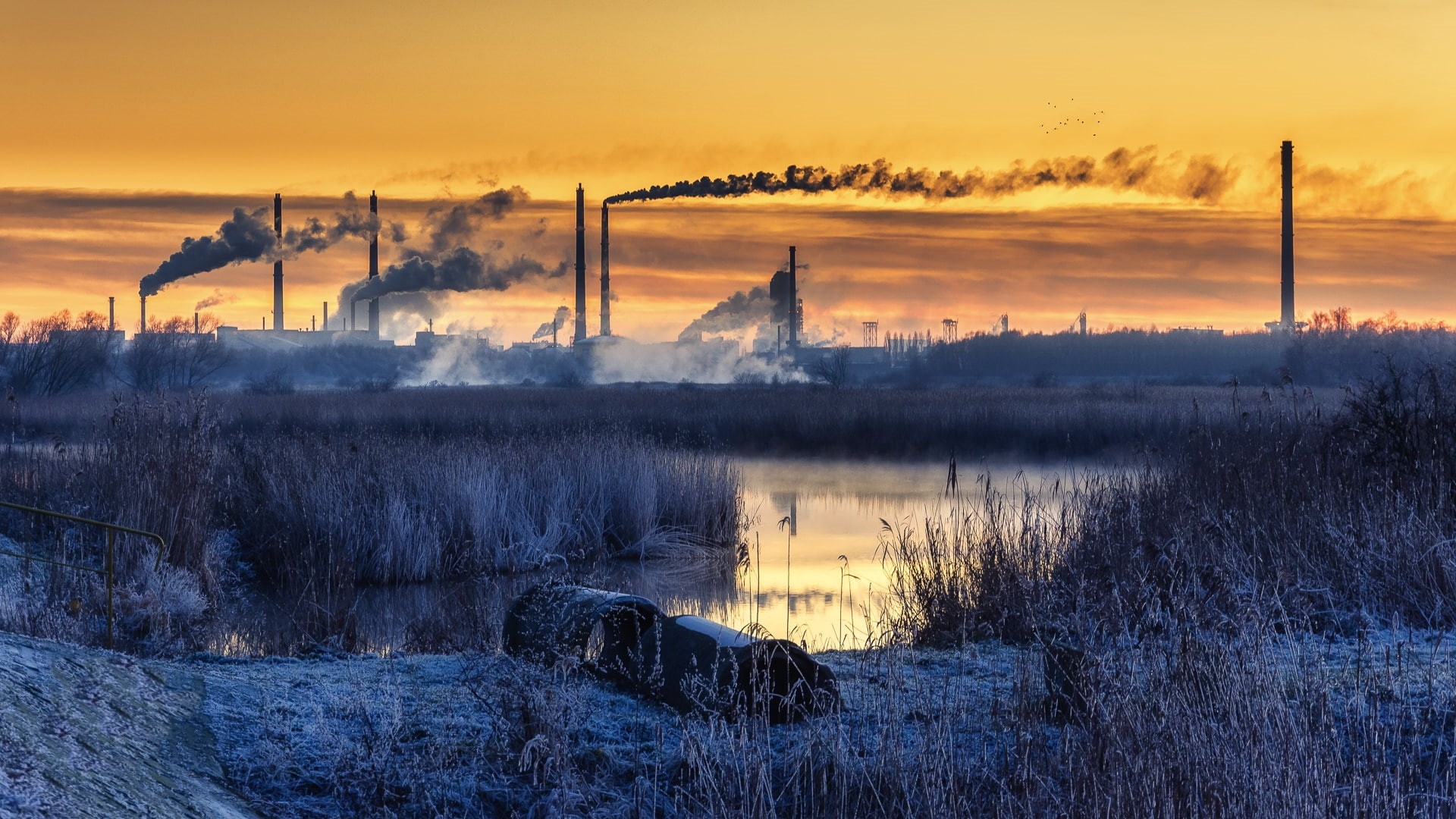 smoke, landscape, factories, 1080P, factory tubes, reeds, winter, sunrise, HD Wallpaper