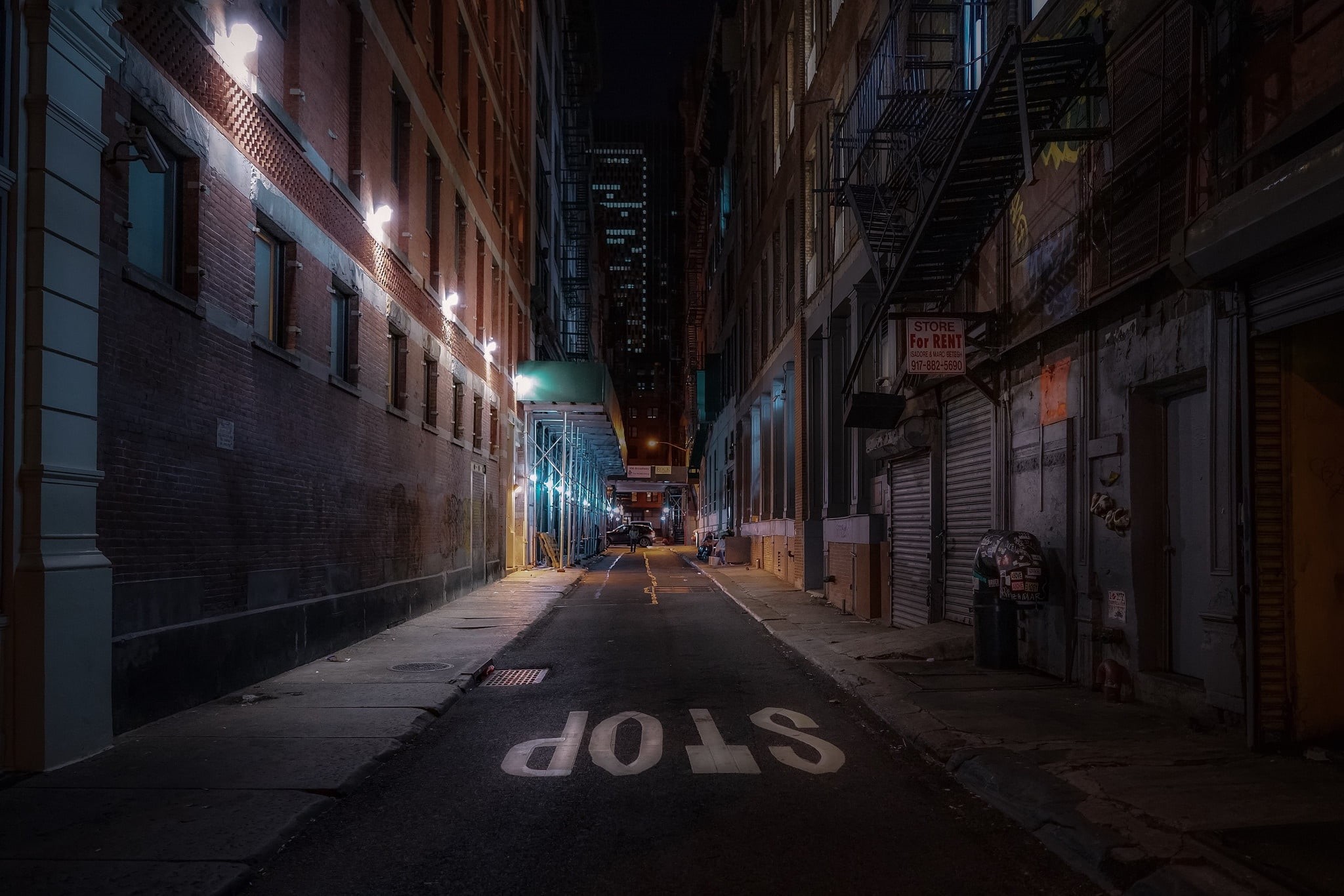 1080P, New York, urban scene, United States, street, night, stop, HD Wallpaper