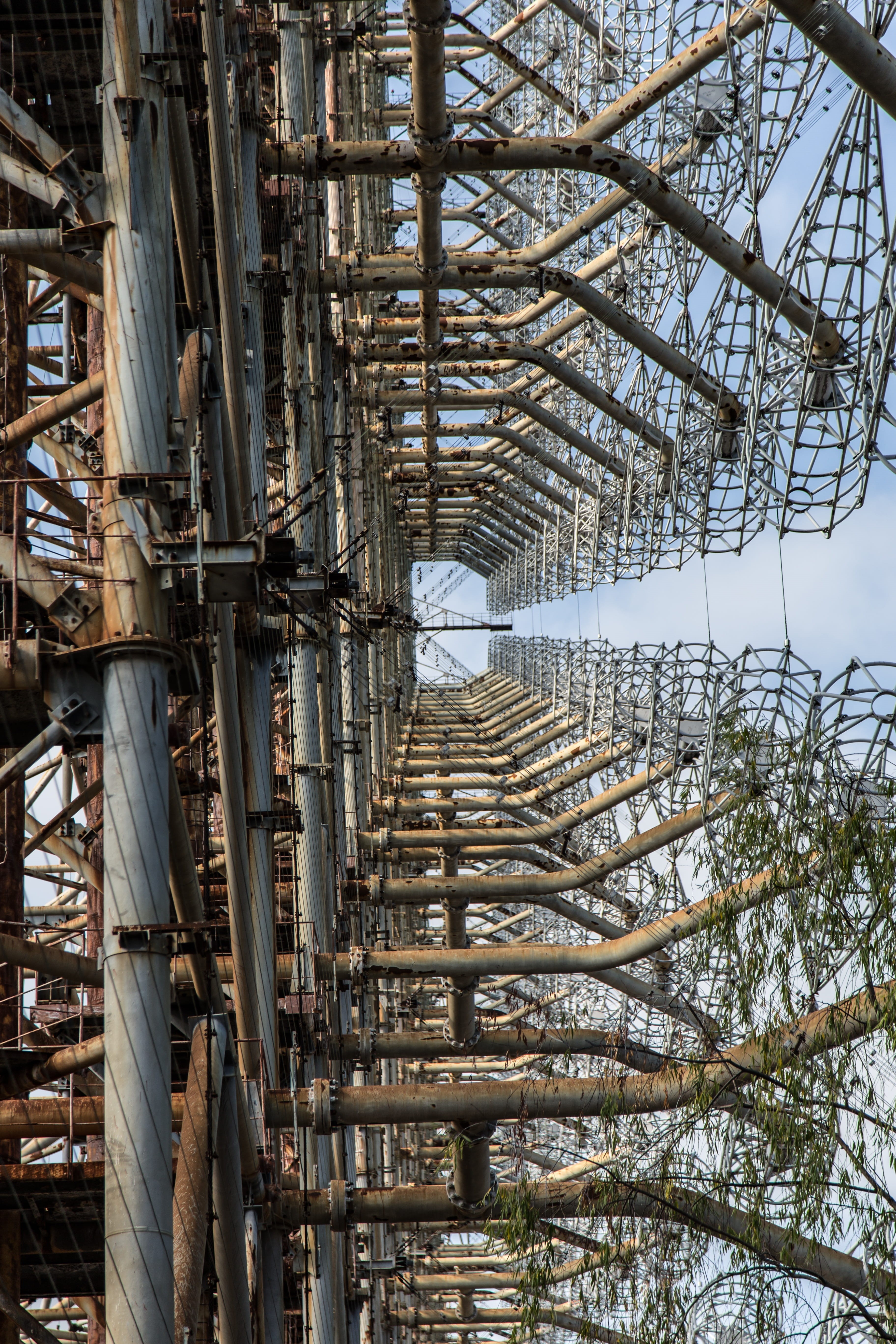 tall - high, infested, building, day, radioactive, pripyat, tree, disaster, urban explorer, tree trunk, lost place, outdoors, ukraine, chernobyl, growth, Phone HD Wallpaper