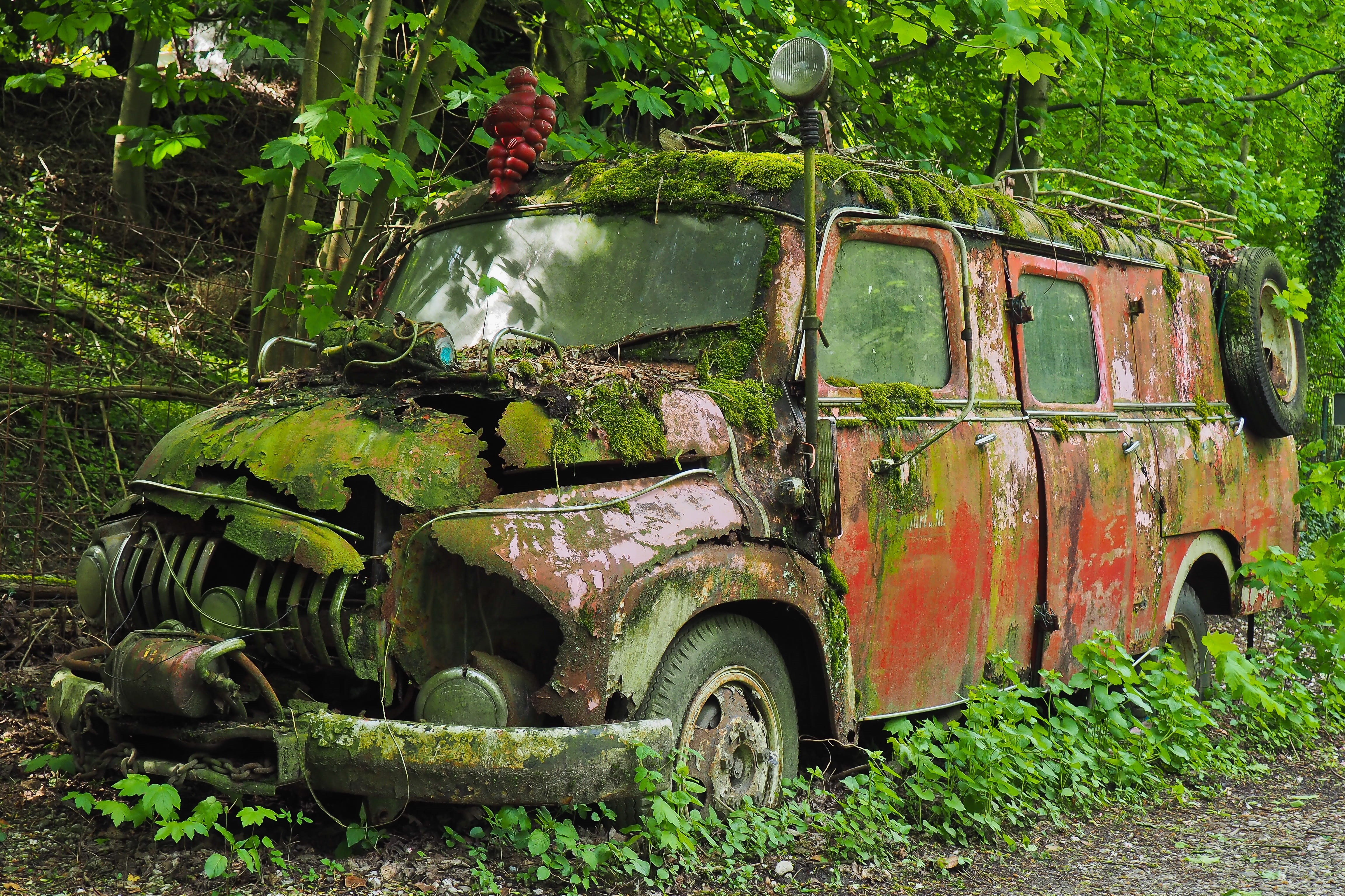nature, red, lost places, tree, wheel, day, old cars, pforphoto, history, stainless, car, retired, over, old, stainless karre, oldtimer, abandoned, transportation, HD Wallpaper