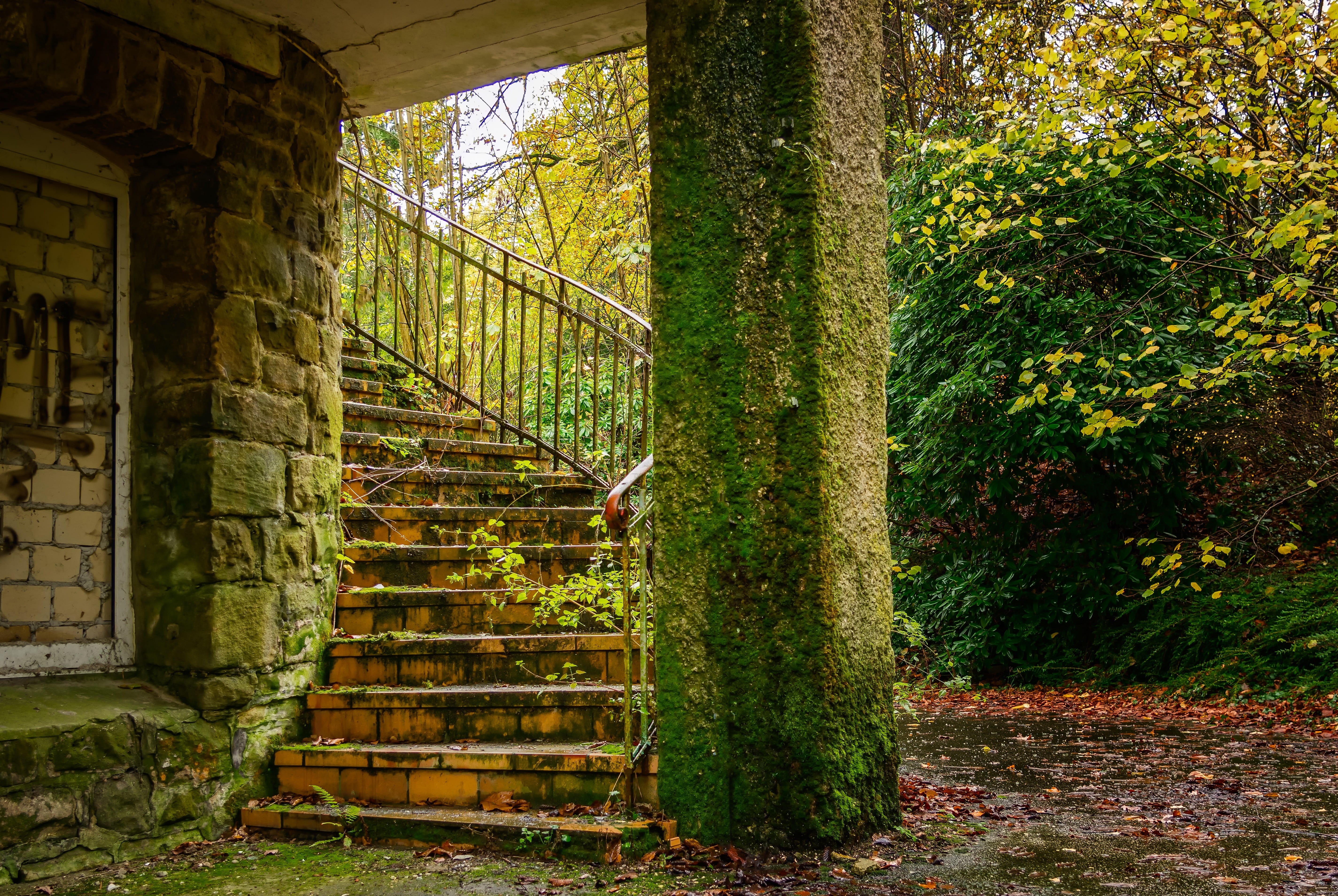 outdoors, ailing, 5K, building exterior, stairs, moss, architecture, green color, lost places, gradually, lapsed, built structure, tree, change, steps and staircases, HD Wallpaper