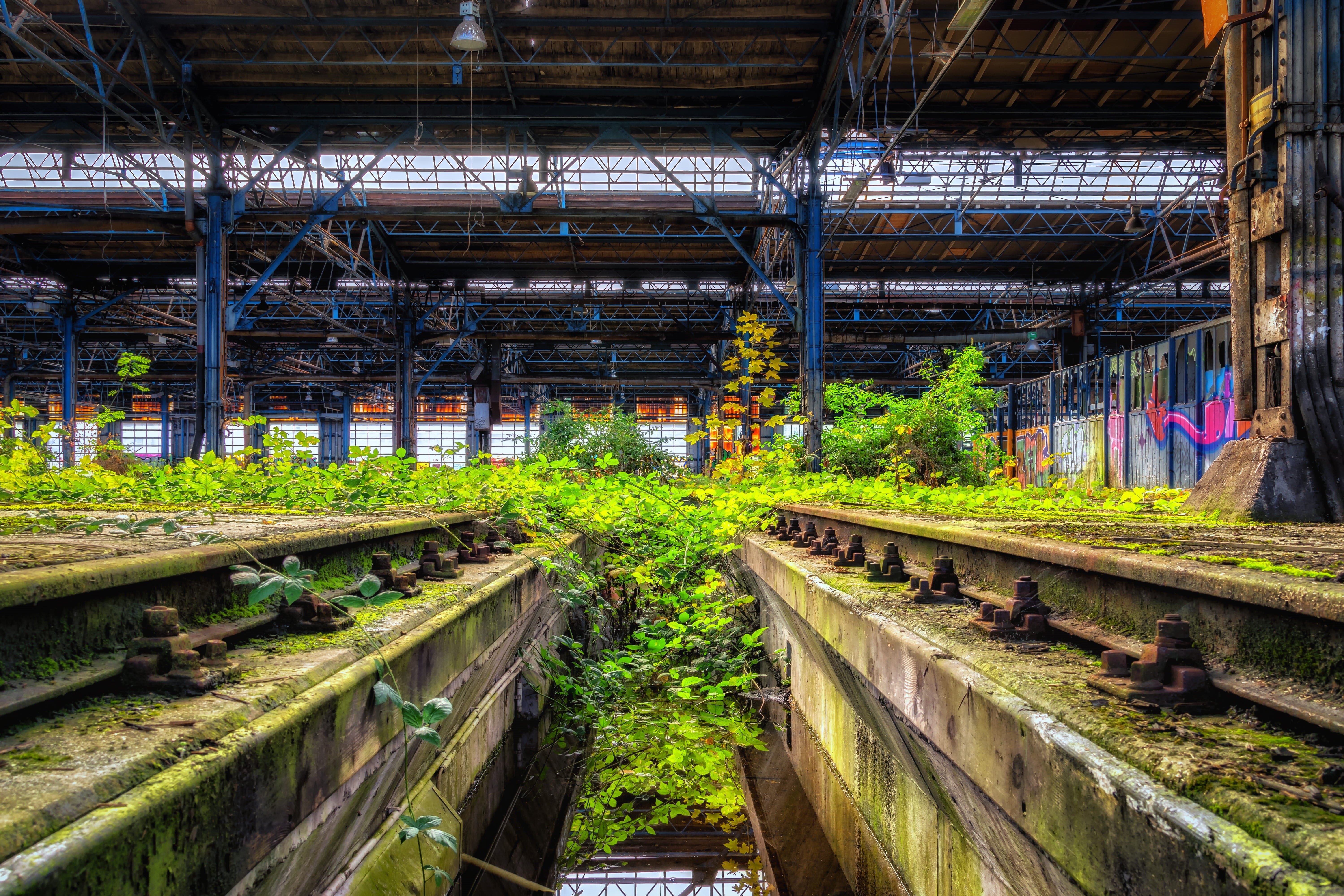 lost places, plants, transportation, warehouse, abandoned, railroad track, built structure, nature, mode of transportation, repair, inside, architecture, HD Wallpaper