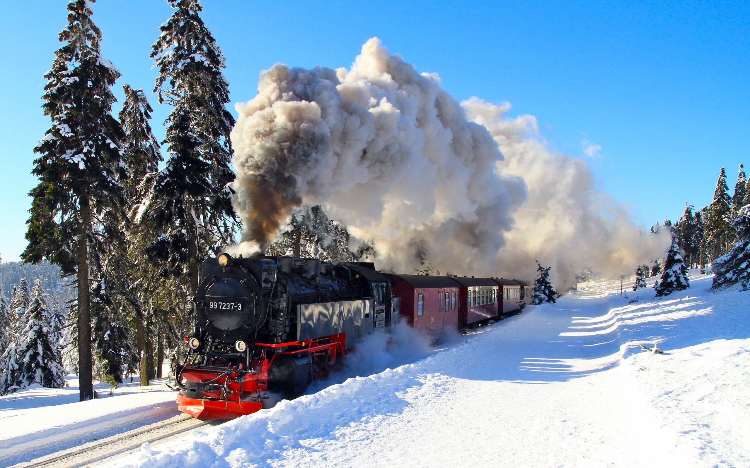 steam locomotive, sky, transportation, covering, winter, forest, white color, nature, pollution, Harz, land, train, 2K, tree, rail transportation, mode of transportation, HD Wallpaper