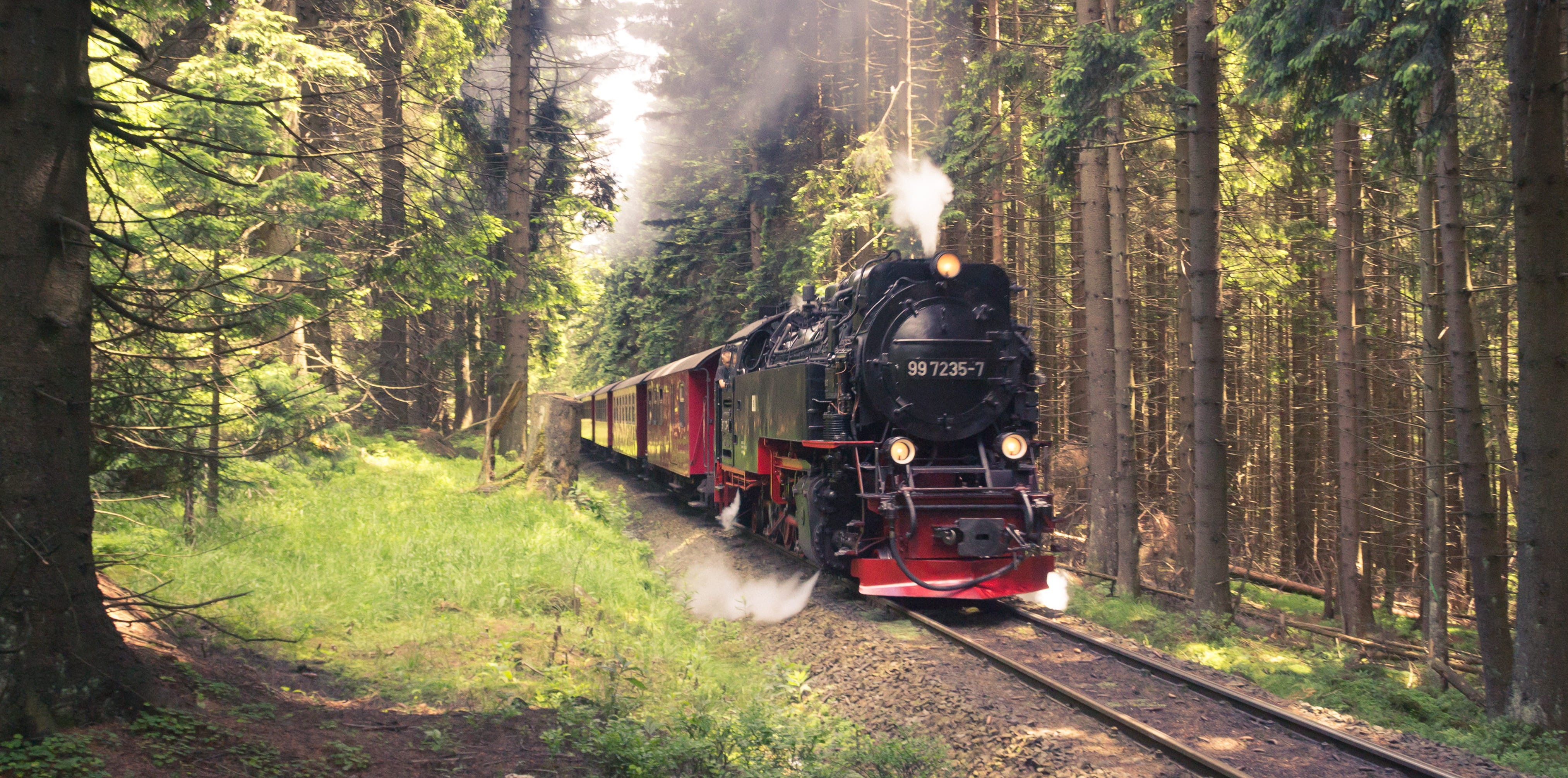 forest, smoke - physical structure, harz, wernigerode, transportation, train, railroad, motion, track, railway, plant, locomotive, steam train, outdoors, HD Wallpaper