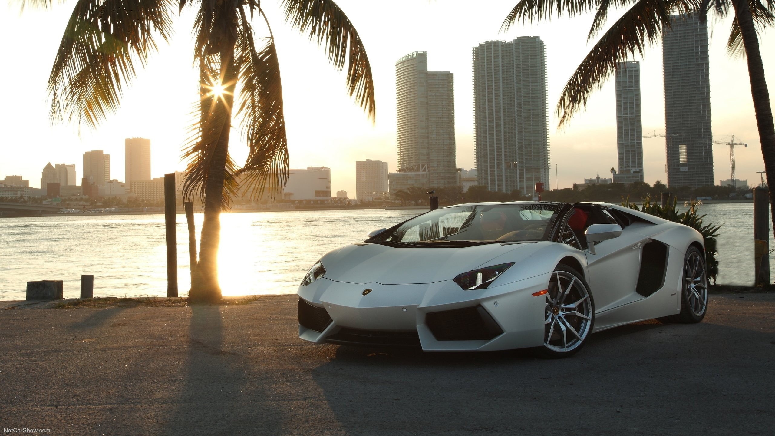 building exterior, white, luxury, Lamborghini, no people, outdoors, sunlight, skyscraper, city, tall - high, building, car, 2K, office building exterior, HD Wallpaper