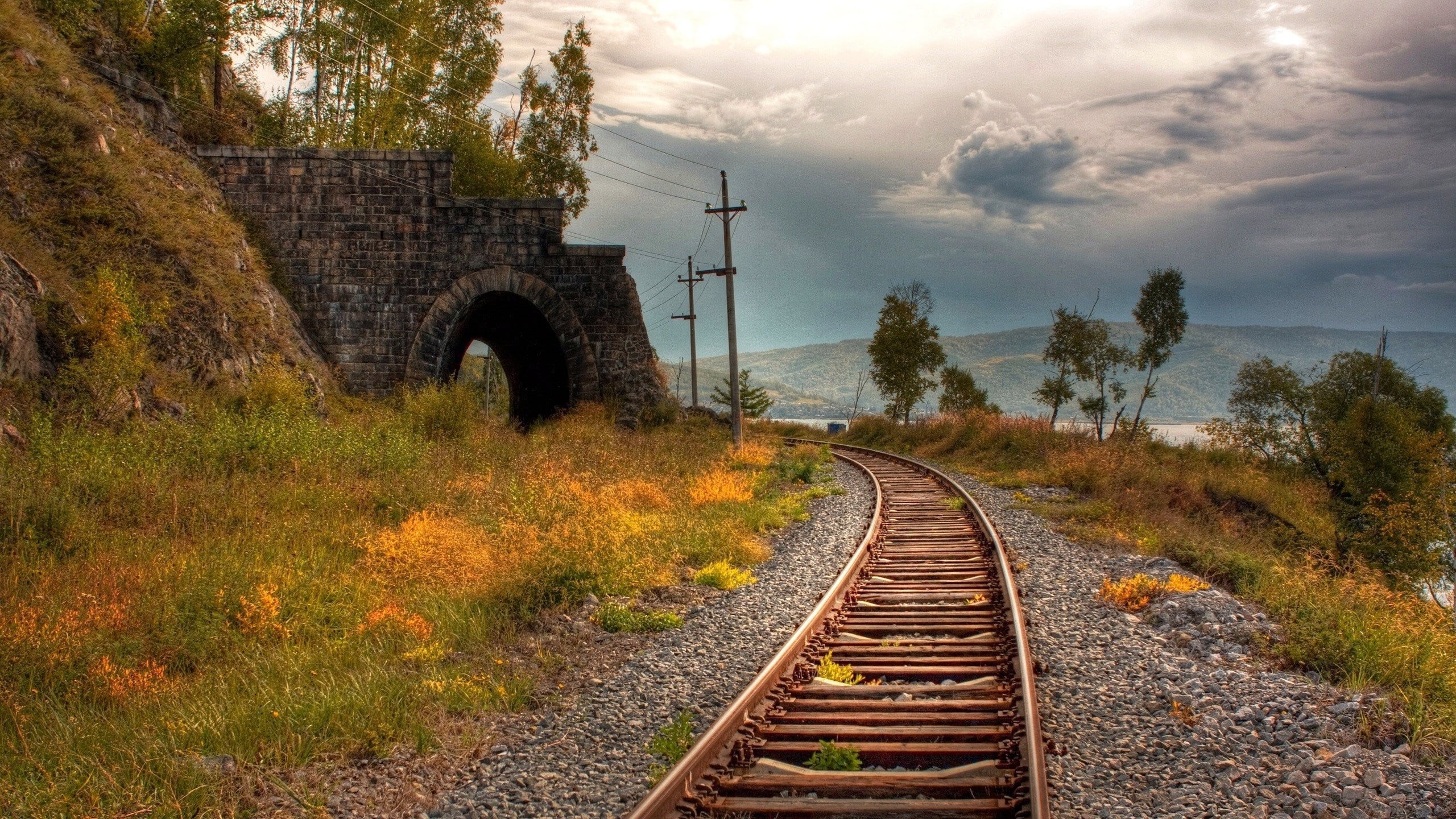 diminishing perspective, direction, non-urban scene, outdoors, tree, rails, connection, plant, railroad track, the way forward, growth, no people, rail transportation, HD Wallpaper
