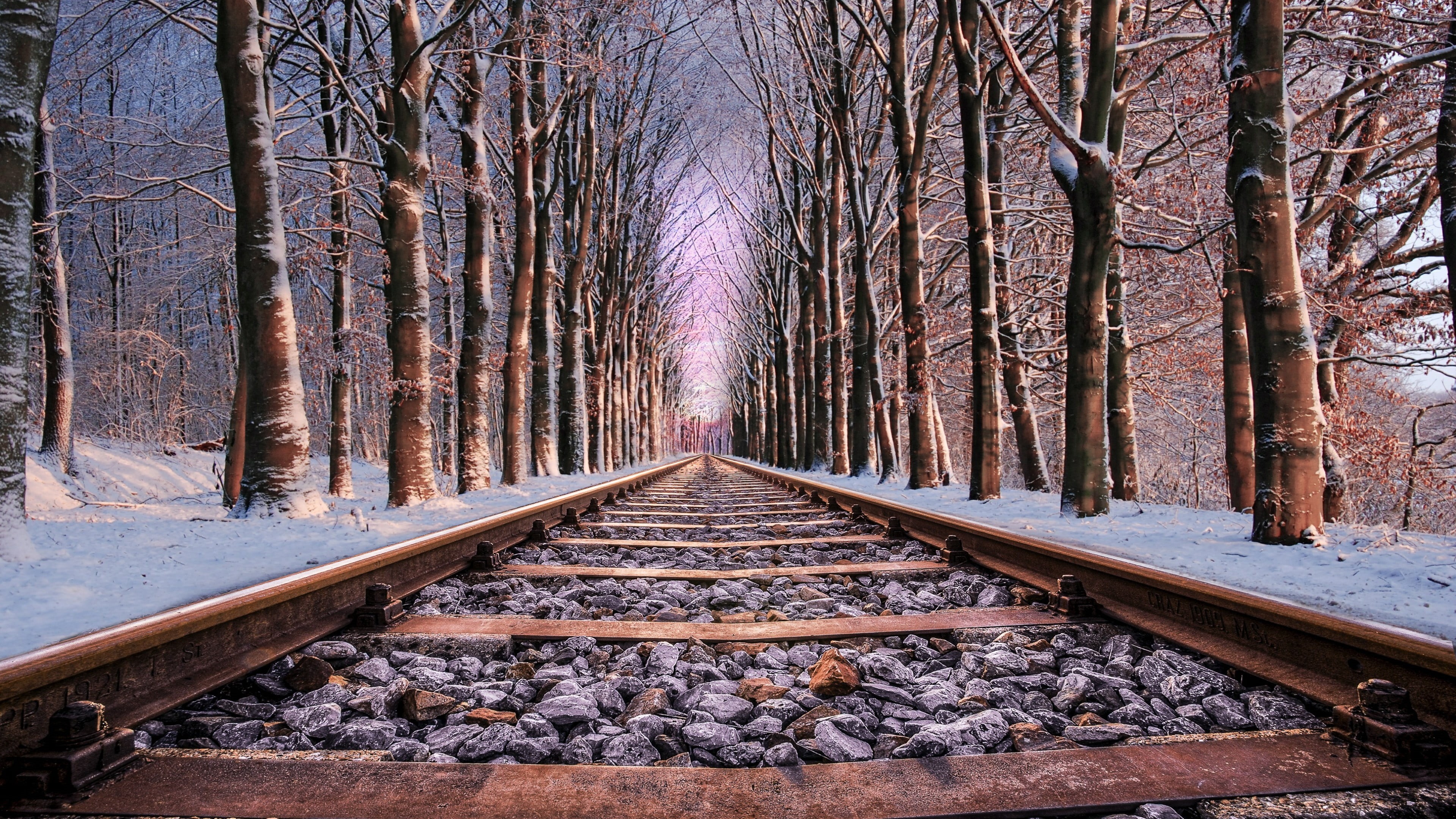 winter, vanishing point, treelined, no people, beauty in nature, railroad, non-urban scene, straight, woodland, woods, rail transportation, track, snow, HD Wallpaper