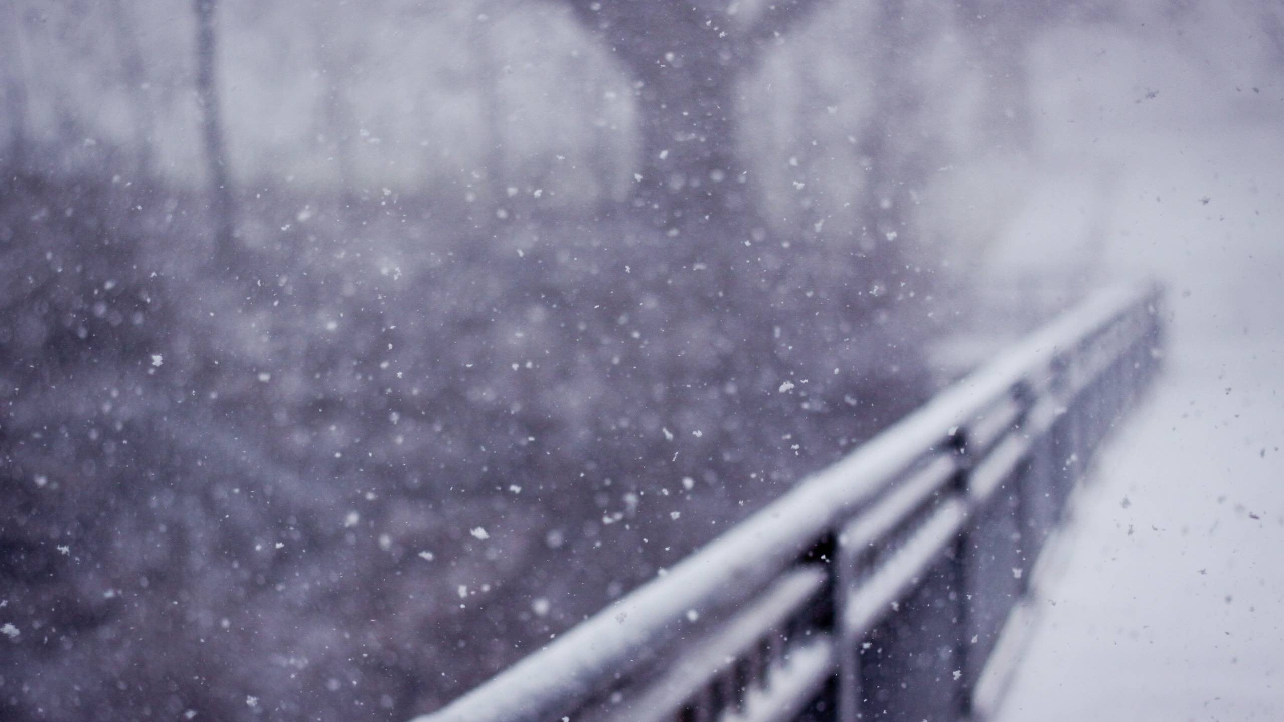 white, forest, bokeh, gray, street, frozen, frost, railings, cold - Temperature, 2K, winter, nature, outdoors, drop, cold temperature, window, landscape, HD Wallpaper