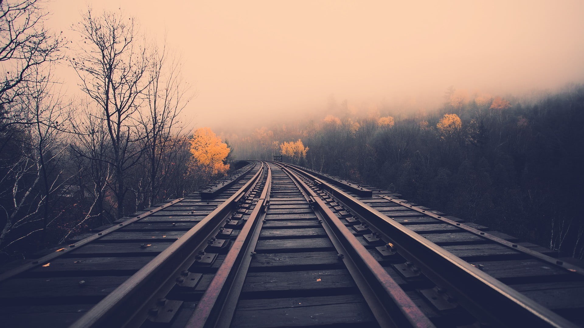 bare tree, railroad Track, diminishing perspective, direction, rail transportation, the way forward, landscape, trees, outdoors, red, train, vanishing point, HD Wallpaper