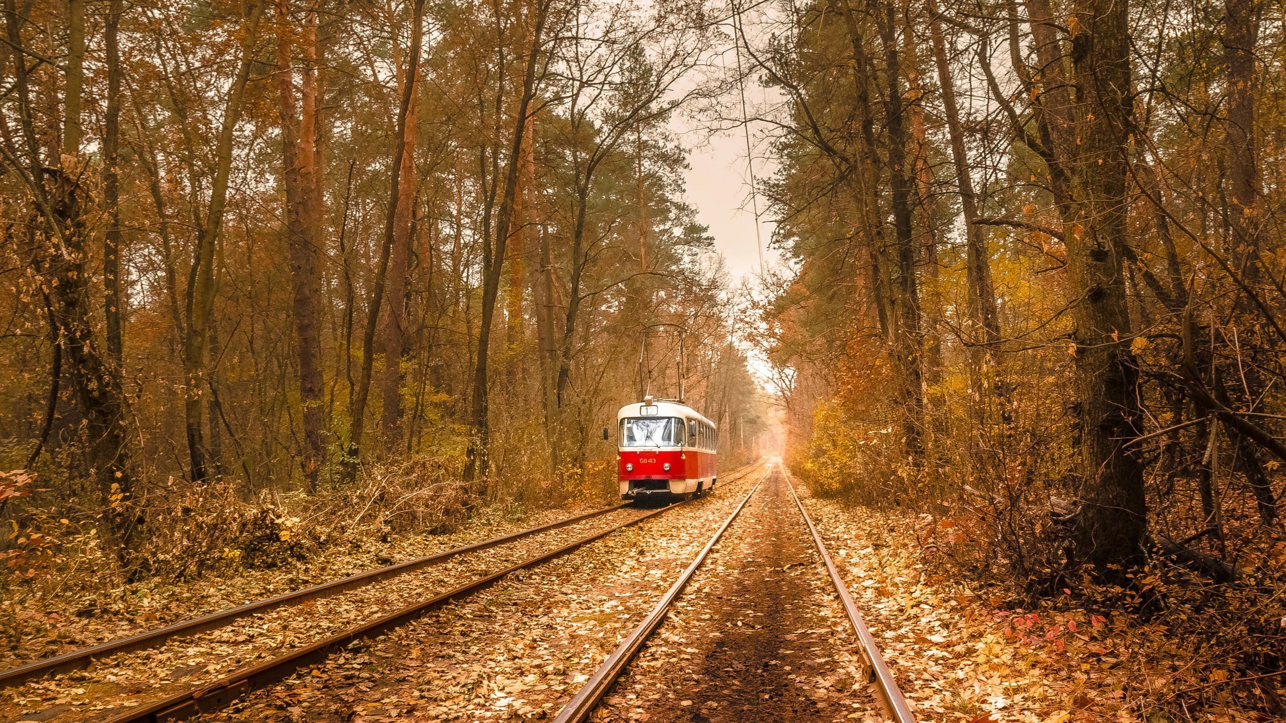 railway, change, public transportation, direction, land, land vehicle, train - vehicle, transportation, rail yard, red, Ukraine, day, vehicle, white, branch, HD Wallpaper