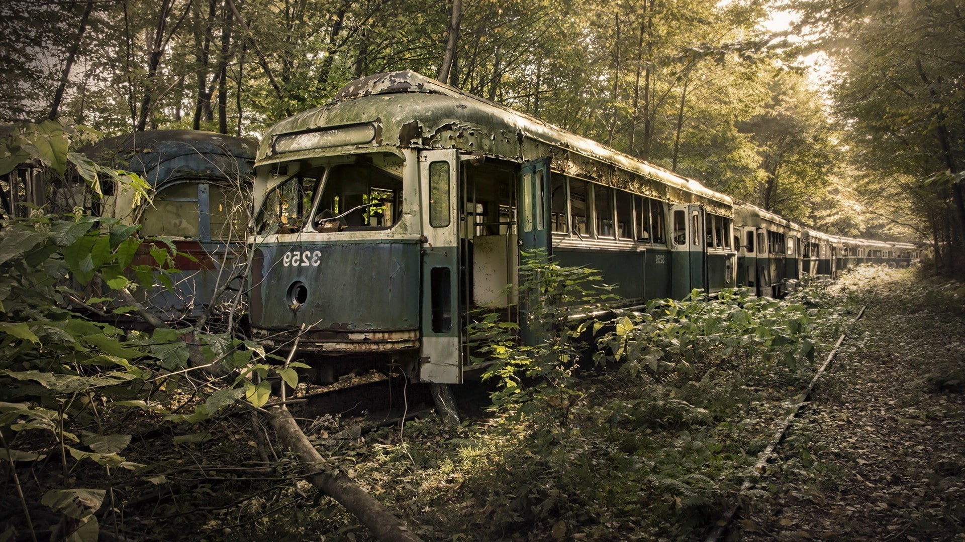 green color, Railway, ruined, Rail Yard, Trees, damaged, Old, Broken, public transportation, deterioration, leaves, day, Scrap, mode of transportation, HD Wallpaper