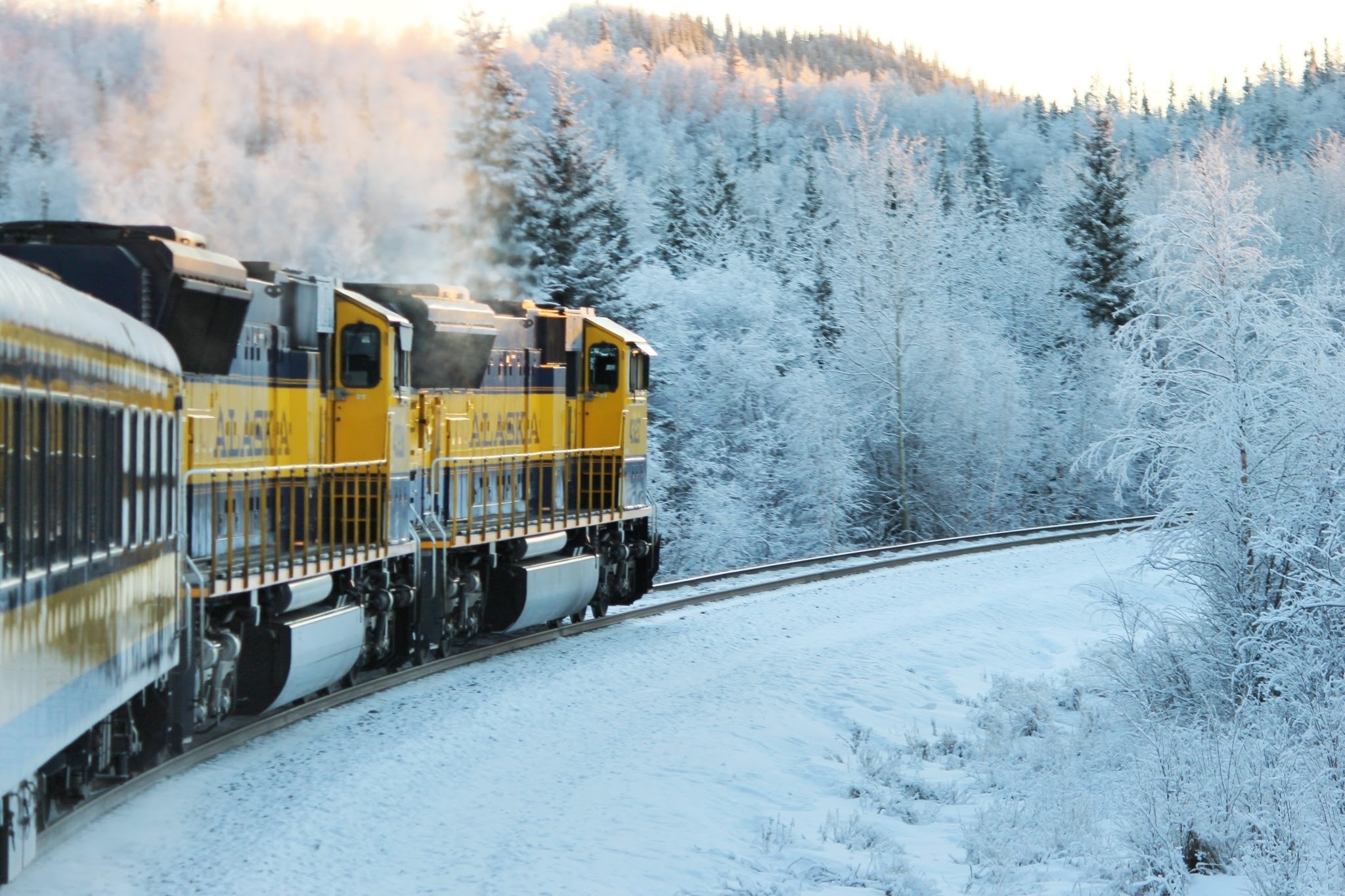 snowing, tree, motion, alaska, plant, cold temperature, mode of transportation, steam train, train, brown, railway, land vehicle, nature, yellow, outdoors, HD Wallpaper