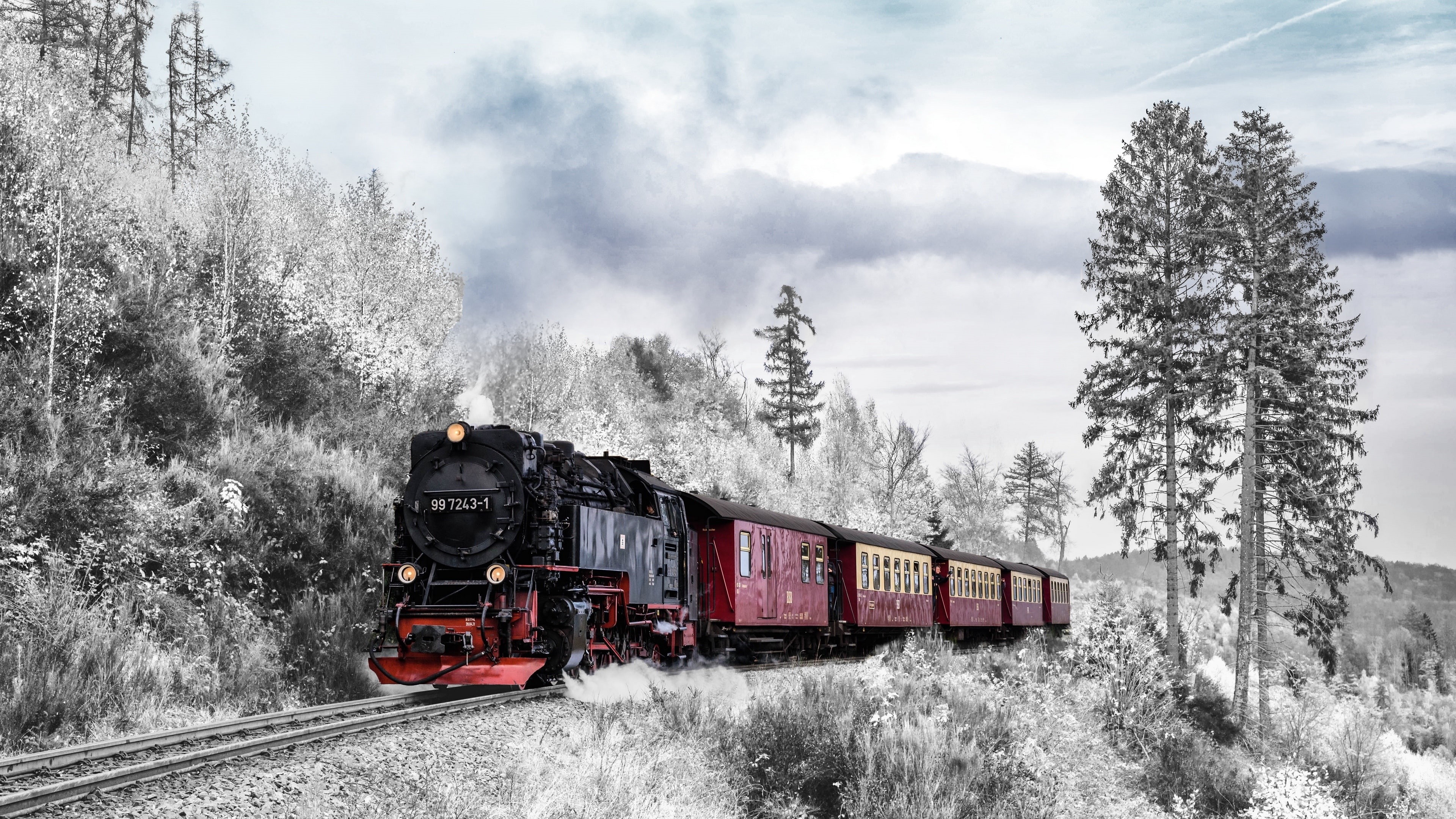 forest, winter, rail transport, locomotive, train, track, transport, 4K, snow, mountain, HD Wallpaper