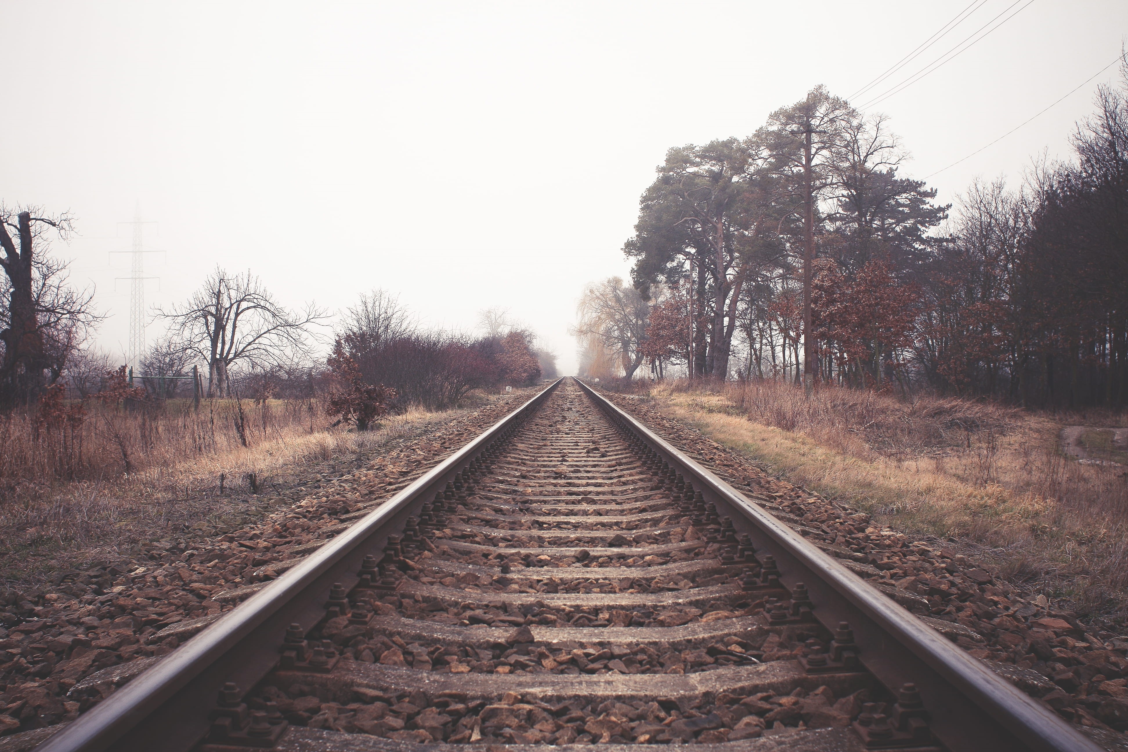 outdoors, surface level, gravel, nature, tranquility, growth, the way forward, parallel, diminishing Perspective, travel, train, rail transportation, steel, HD Wallpaper