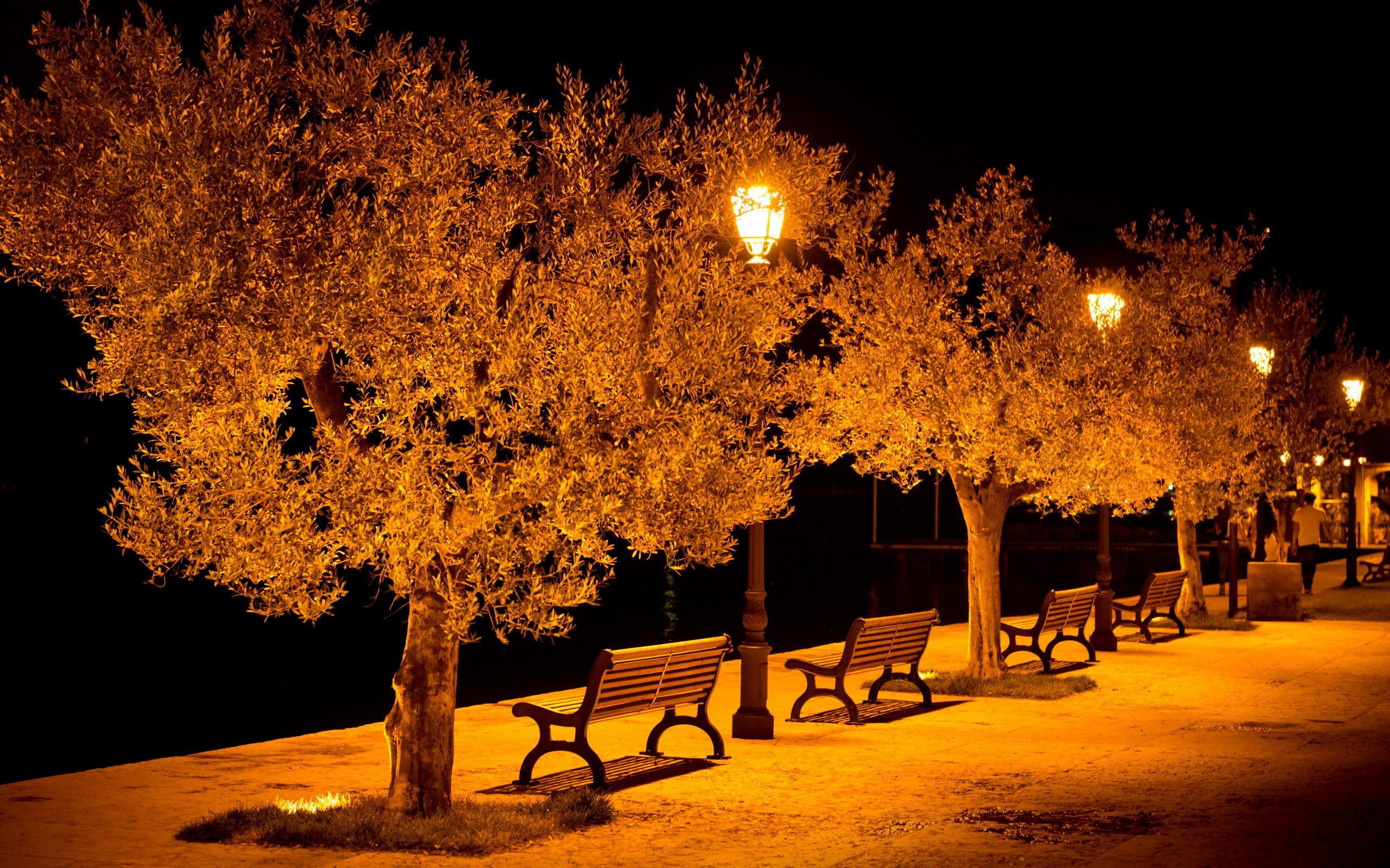 city, photos, mood, aeyaey, street, bench, trees, lighted, benches, night, light, 2K, lights, lamp, HD Wallpaper