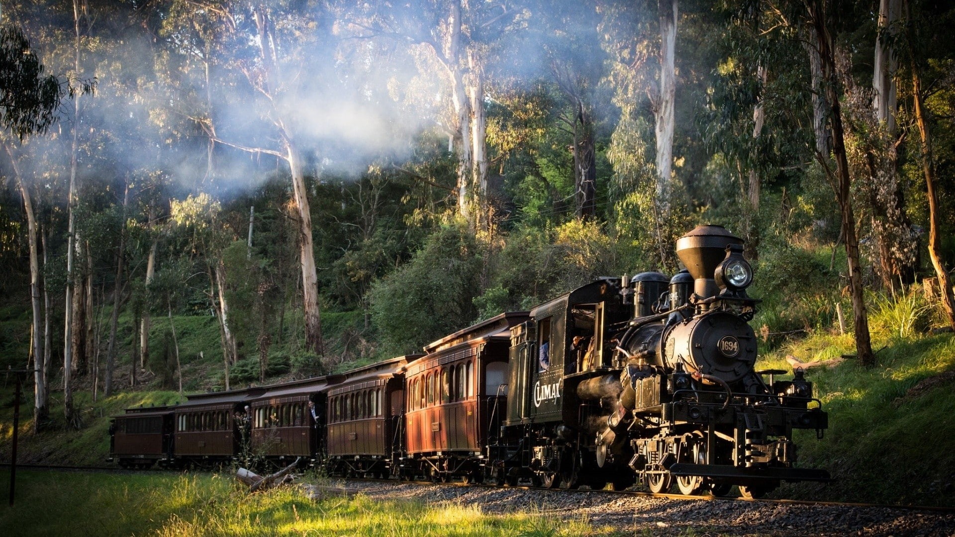 forest, trees, grass, train, railway, smoke, steam locomotive, landscape, sunlight, Australia, nature, 1080P, HD Wallpaper