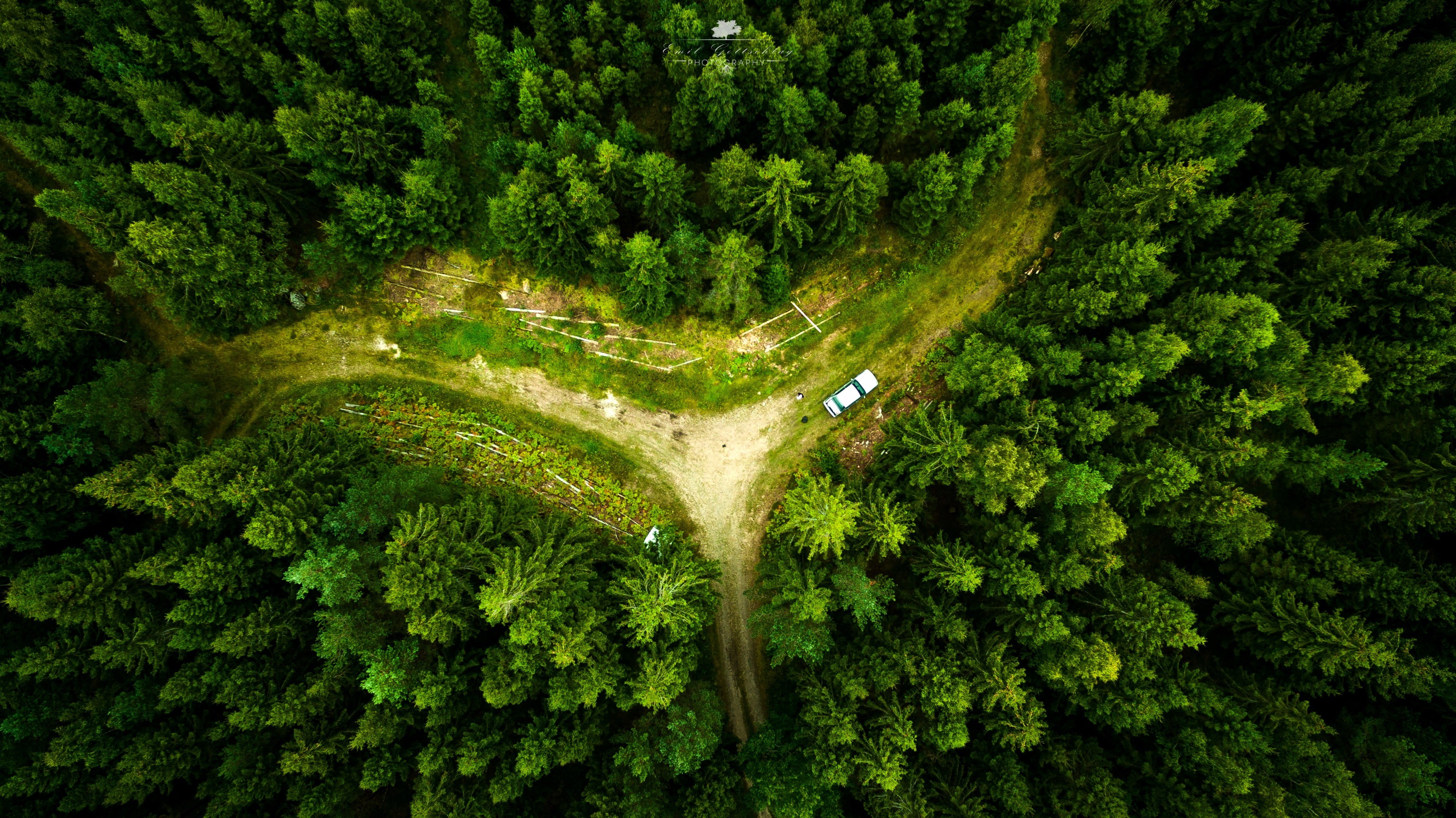 landscape, drone, aerial view, forest, 4K, nature, HD Wallpaper