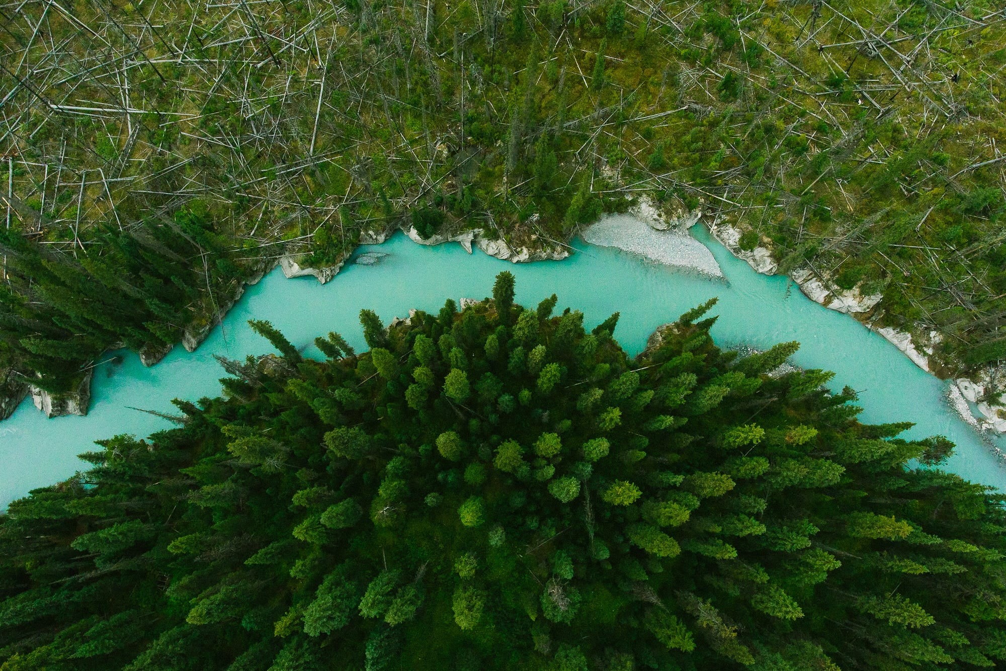 sea life, animals in the wild, blue, marine, landscape, animal themes, no people, water, 1080P, tranquility, green, nature, grass, sea, day, river, undersea, HD Wallpaper