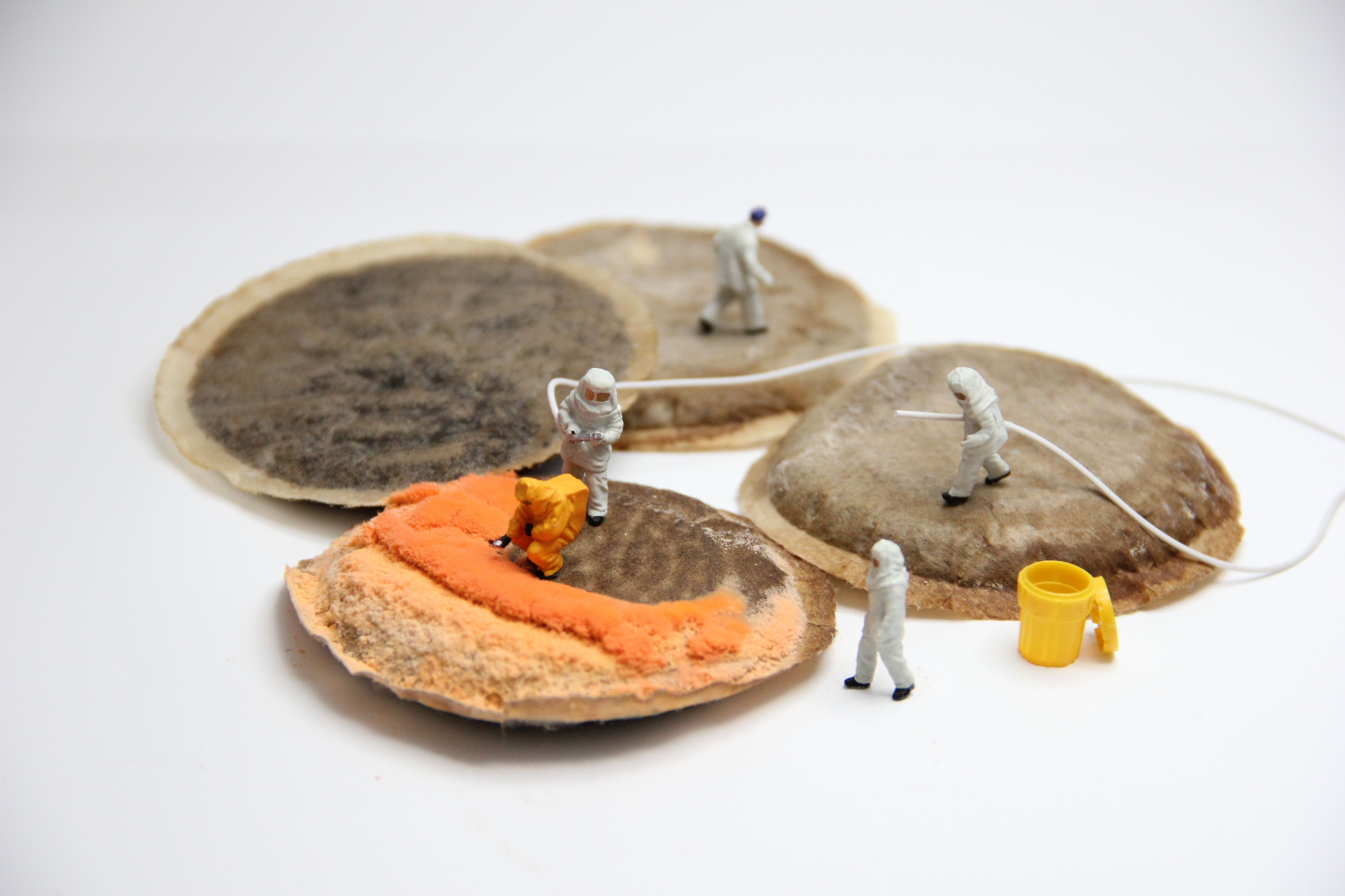 three objects, mold, security, food, antique, healthy eating, creative, wellbeing, still life, modelleisenbahn figure, work clothes, old, animal wildlife, HD Wallpaper