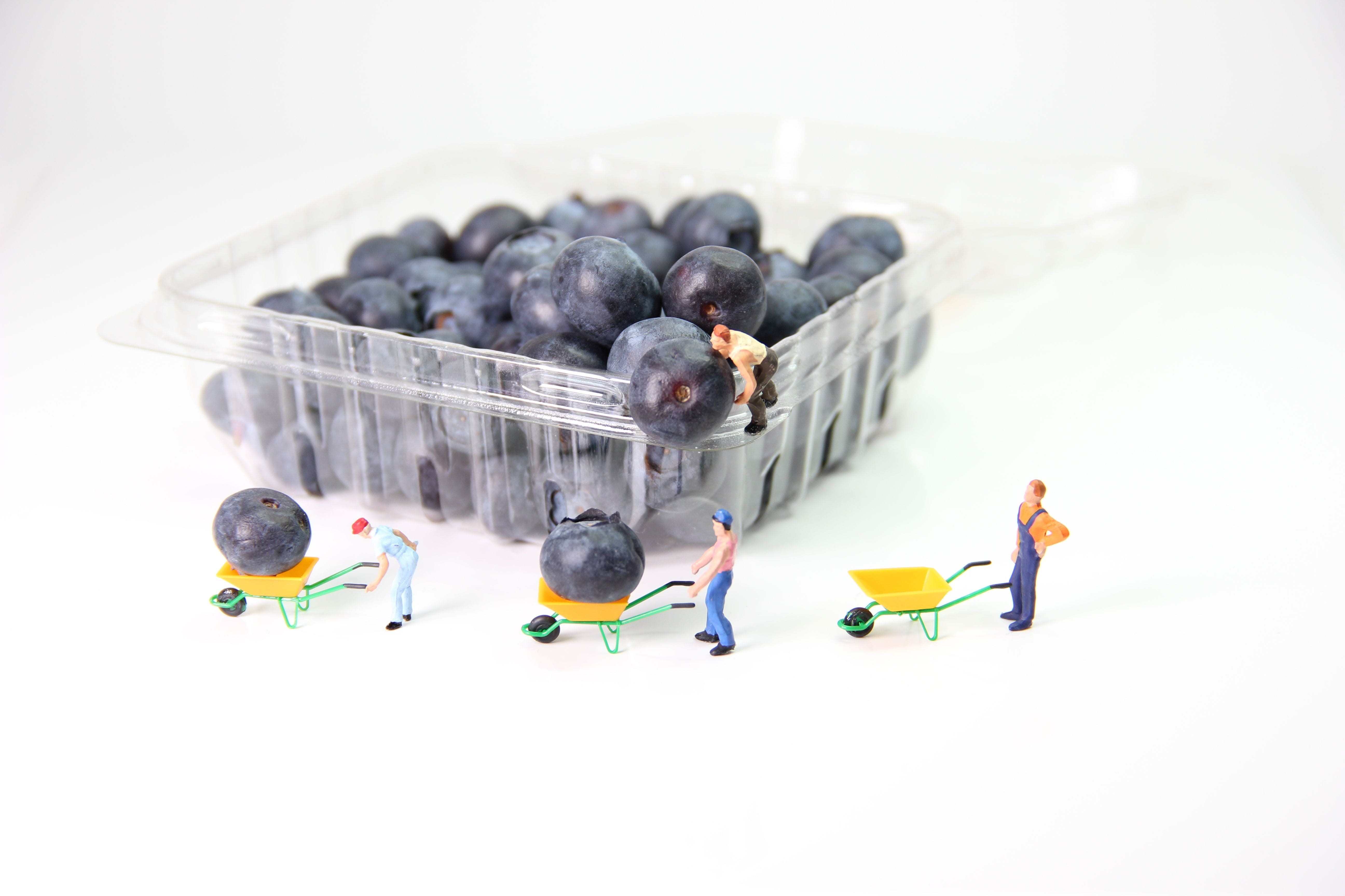 healthy eating, full length, wheelbarrow, figurine, white background, large group of objects, plastic, high angle view, art, mite, funny, berries, miniature figure, HD Wallpaper