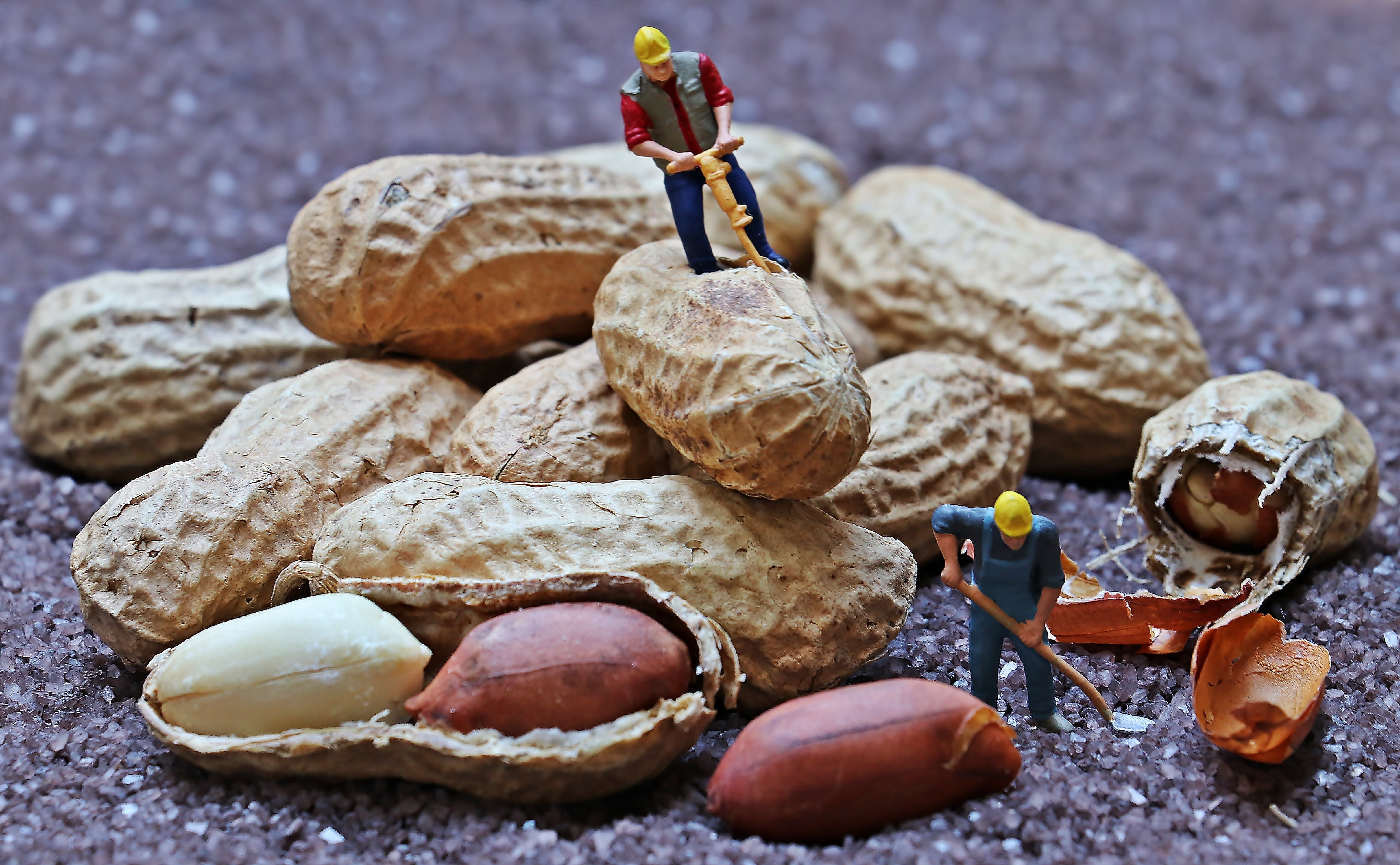 man with jackhammer, close, miniature figure, high angle view, large group of objects, work, close-up, 1 87, nature, construction worker working on peanuts, HD Wallpaper