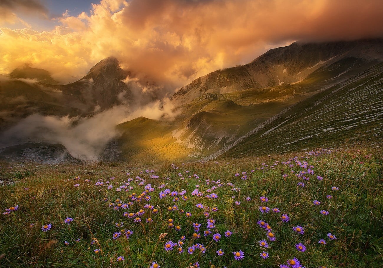 mountain, bed, flowers, environment, sky, land, fog, tranquility, spring, dramatic sky, 720P, nature, mountains, tranquil scene, landscape, beauty in nature, HD Wallpaper