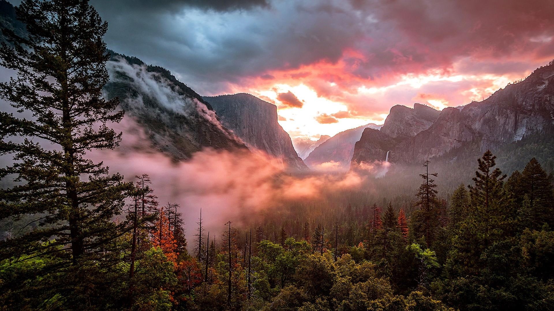 national park, nature, dawn, tree, tunnel view, mountain, cloud, california, vegetation, 1080P, morning, mount scenery, bridalveil fall, united states, HD Wallpaper