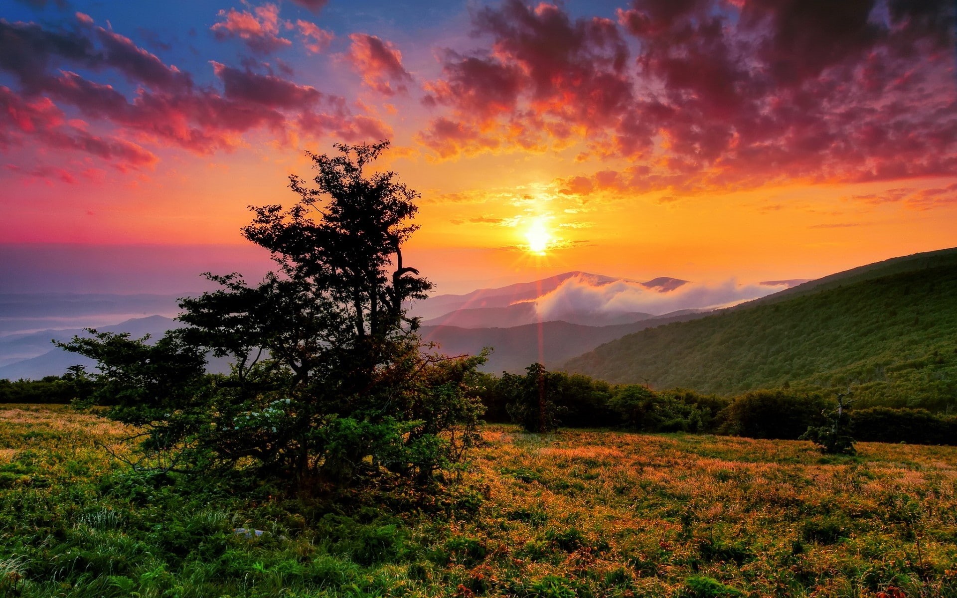 us, landscape, north, sunset, 1080P, carolina, HD Wallpaper