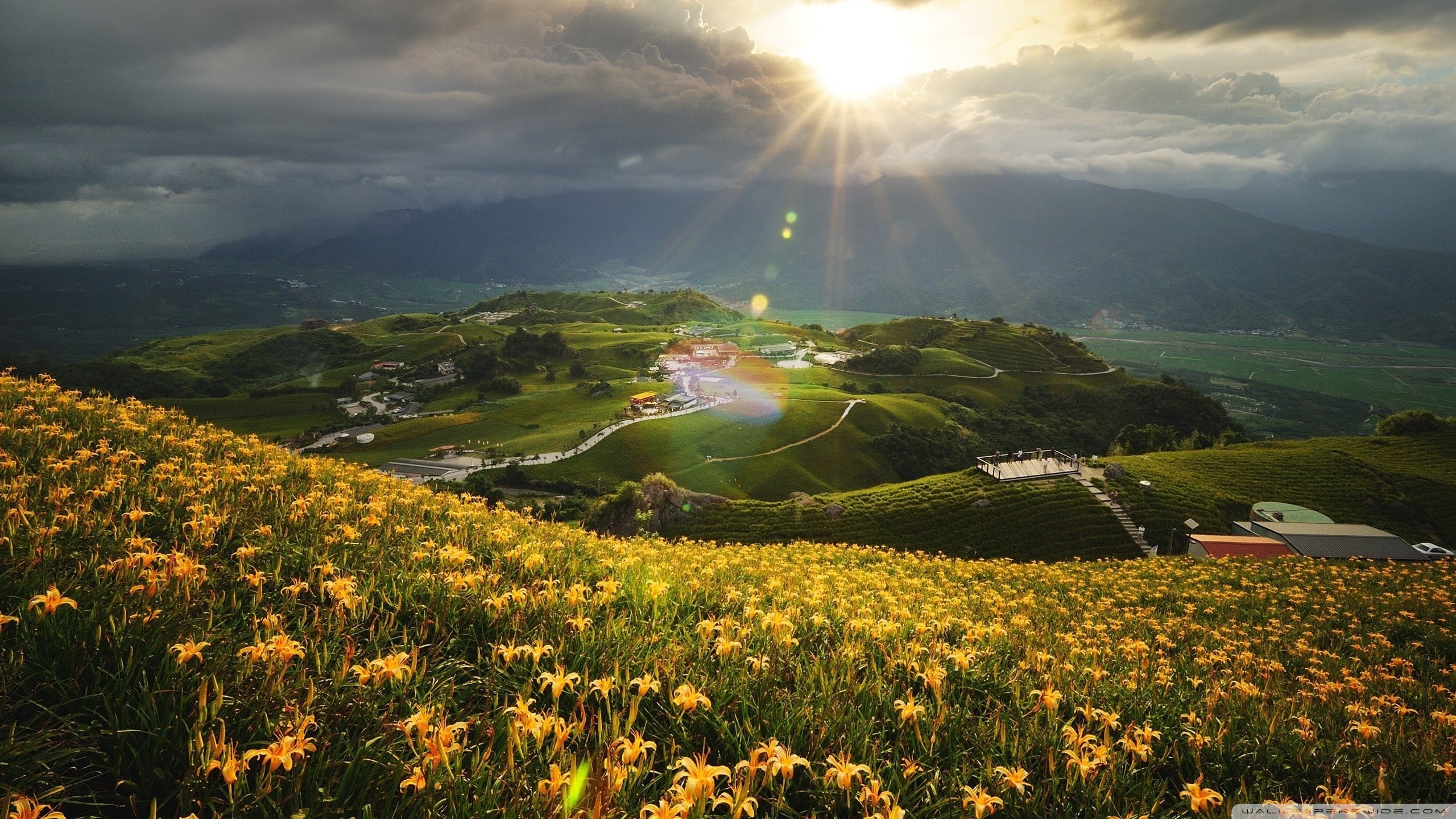sky, nature, landscape, sunbeam, sunlight, environment, tranquil scene, mountain, scenics - nature, day, cloud - sky, flower, lens flare, sun, tranquility, HD Wallpaper