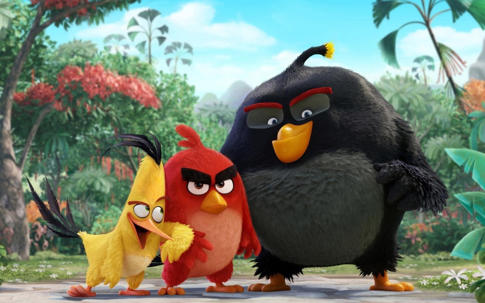 hollywood, angry, 2016, angry bird, movies, 720P, hollywood movies, birds, HD Wallpaper