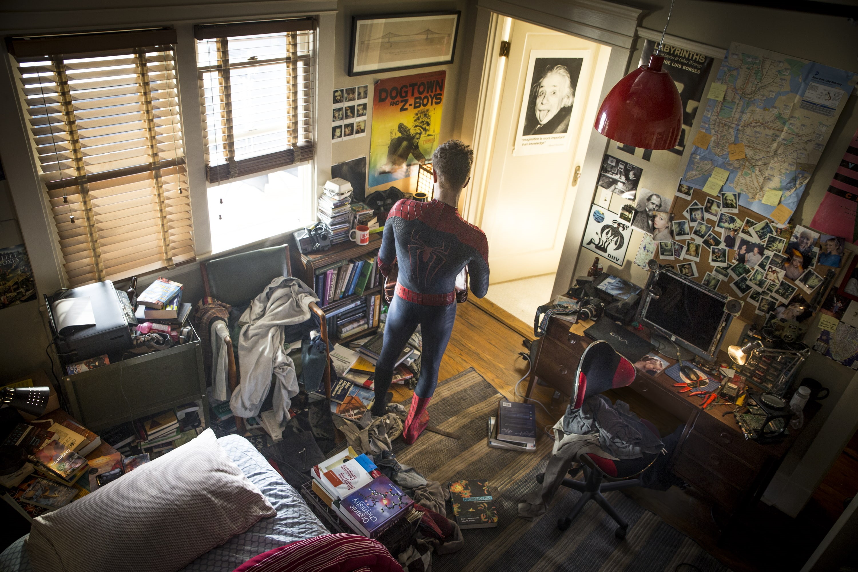Spider-Man, casual clothing, adult, day, standing, indoors, human representation, Andrew Garfield Andrew Garfield, people, men, window, 2K, occupation, HD Wallpaper
