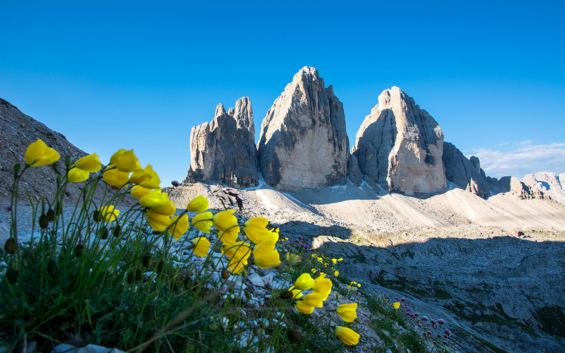 peaks, 1080P, yellow, lavaredo, landscape, dolomites, italy, three, hd, flowers, spring, HD Wallpaper
