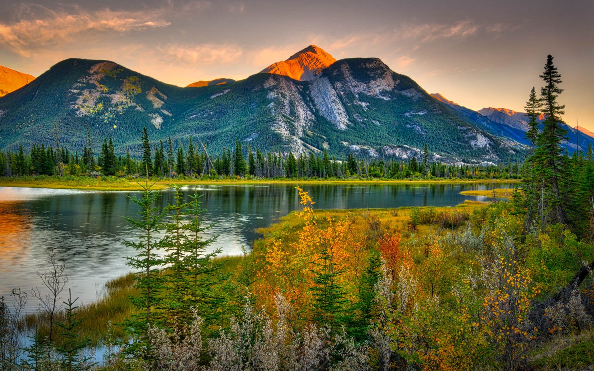  canada, rocky, pine, 1080P, contrast, high, river, forest, mountains, hd, beauties, landscape, natural, HD Wallpaper