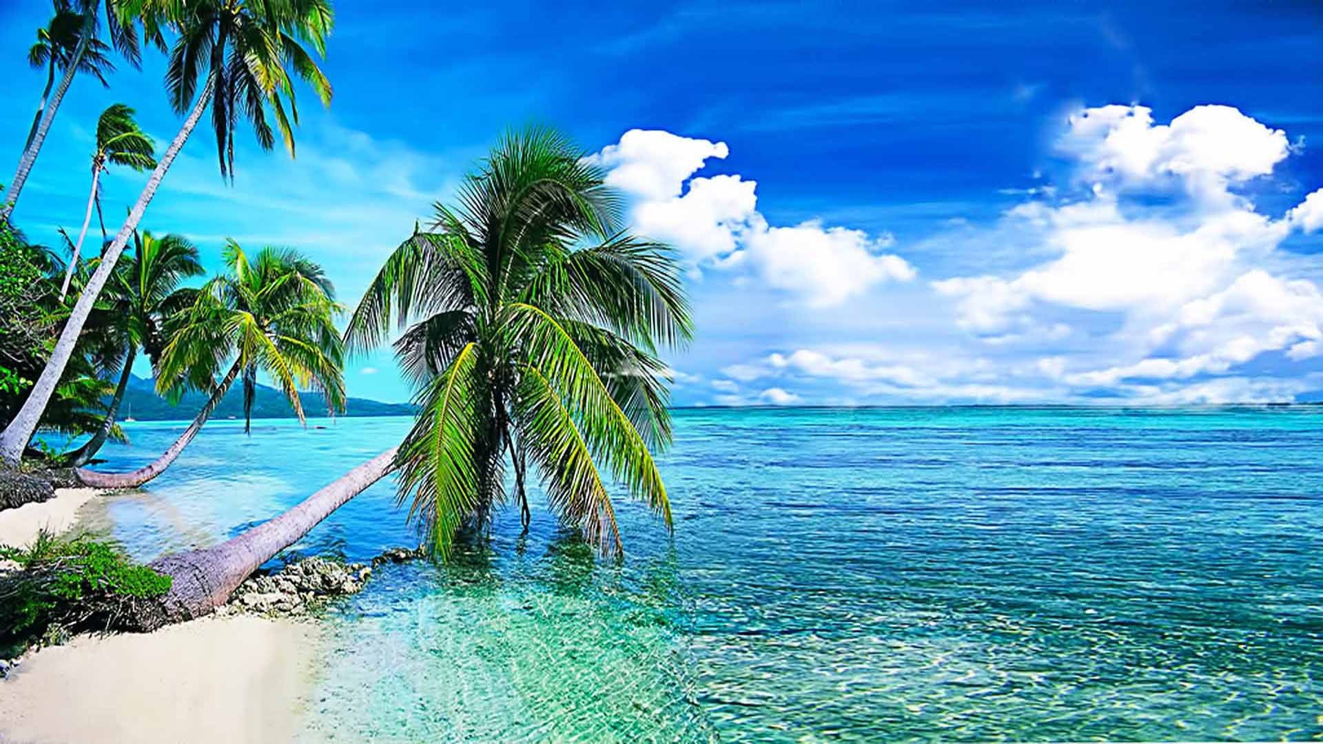clouds, background, summer, clear, desktop, palmi, white, tropical, beach, sky, okean, 1080P, crystal, water, HD Wallpaper