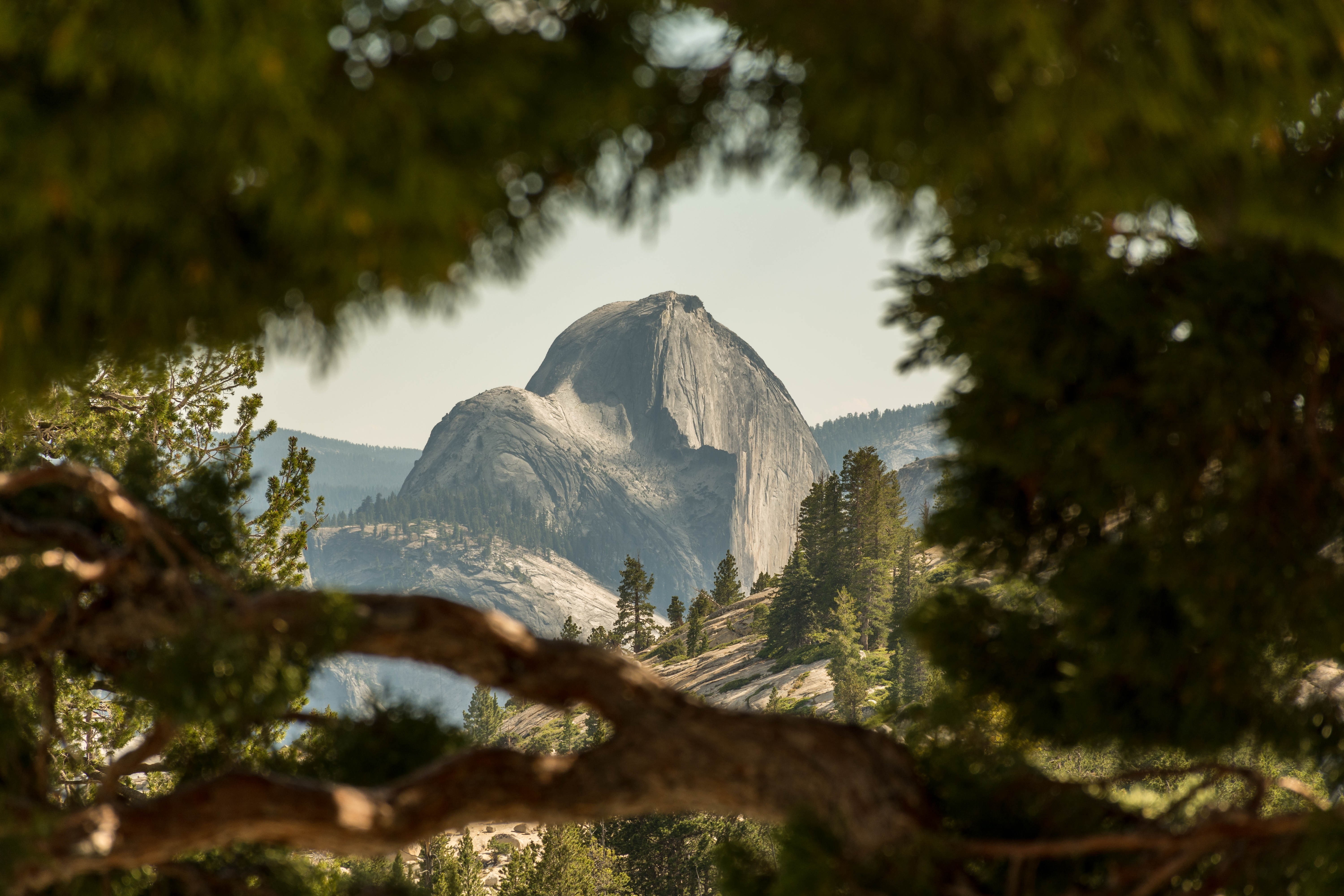 California, 5K, Yosemite National Park, USA, Half Dome, HD Wallpaper