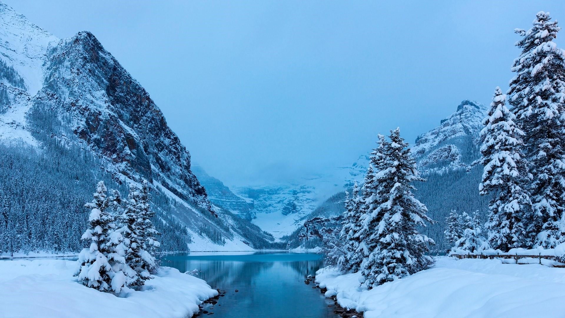 pine tree, tranquil scene, scenics - nature, freezing, tranquility, extreme weather, wilderness, water, mountain, 1080P, no people, canada, frost, national park, HD Wallpaper