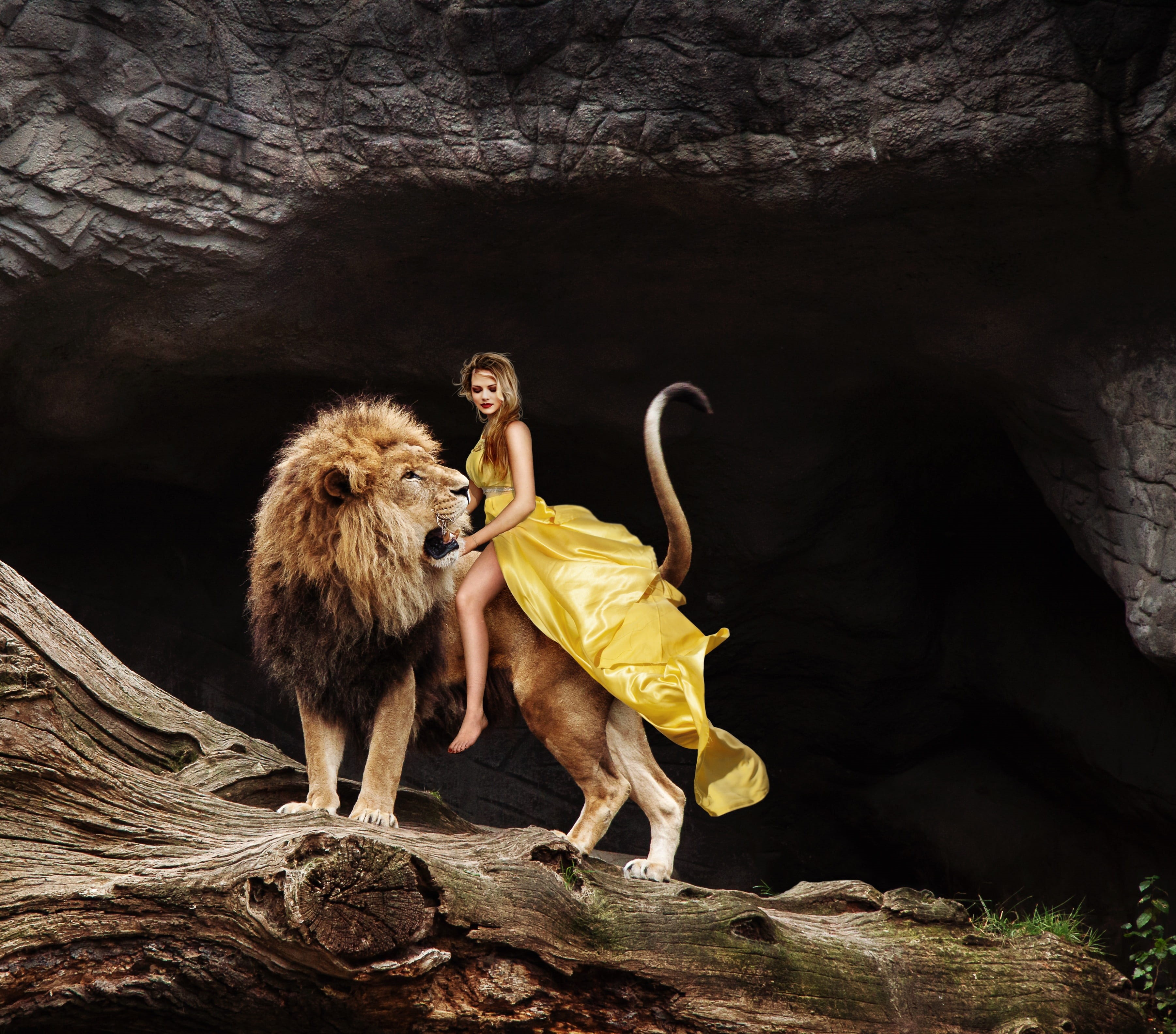 domestic animals, full length, one animal, pet, mane, girl, friendship, roar, horsewoman, nature, 2K, mount, digital art, fantasy, yellow, portrait, ride, HD Wallpaper