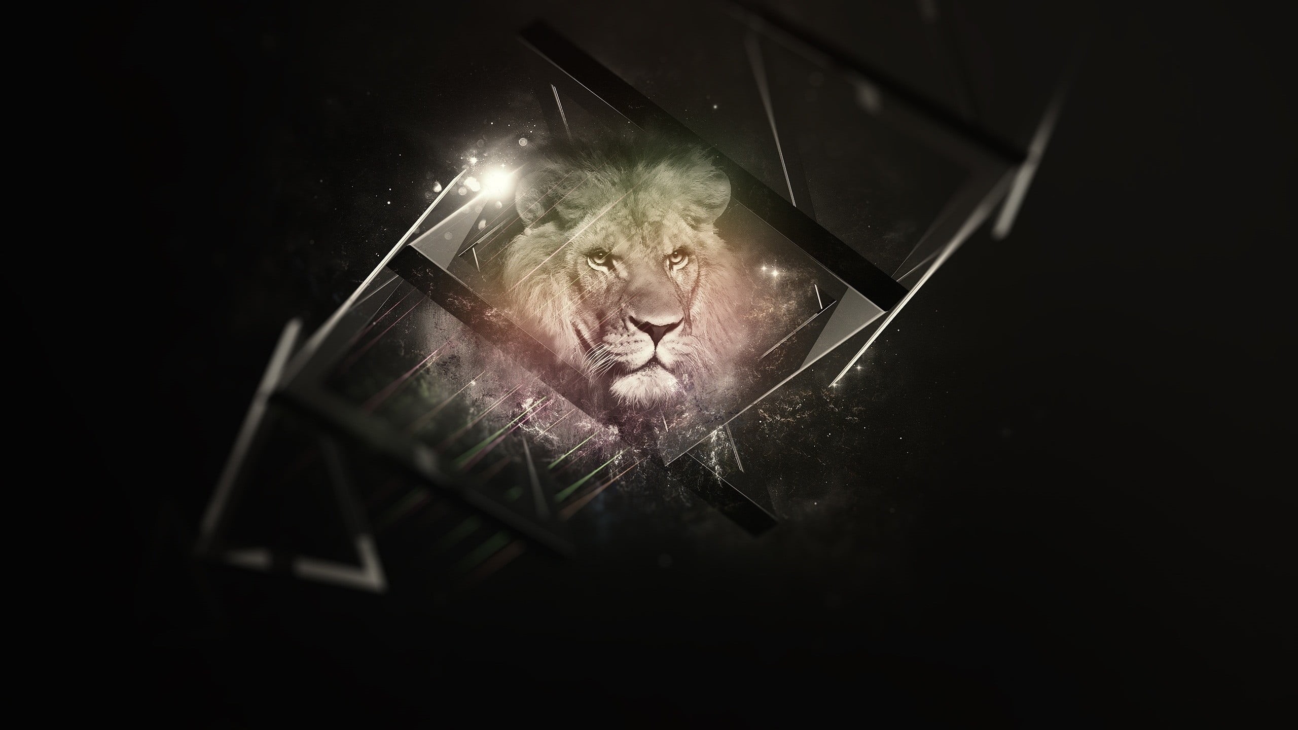 studio shot, digital, bizarre, art, dark, headshot, lion, beard, digital art, people, human face, glasses, looking at camera, contemplation, males, mature adult, HD Wallpaper