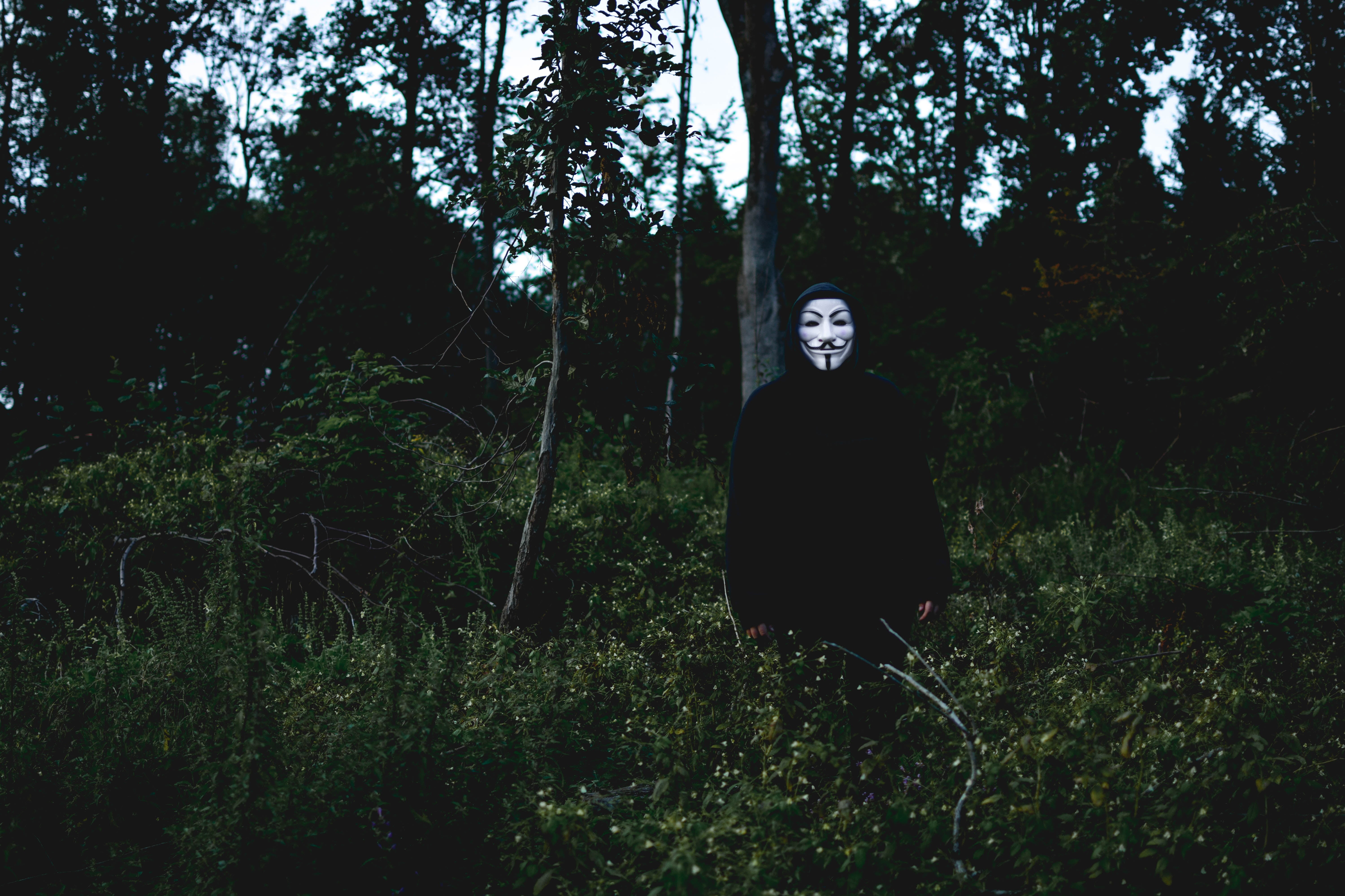 obscured face, front view, beautiful, adult, loneliness, outdoors, solitude, lifestyles, fawkes, sport, mystery, spooky, ghost, one Person, day, woodland, HD Wallpaper