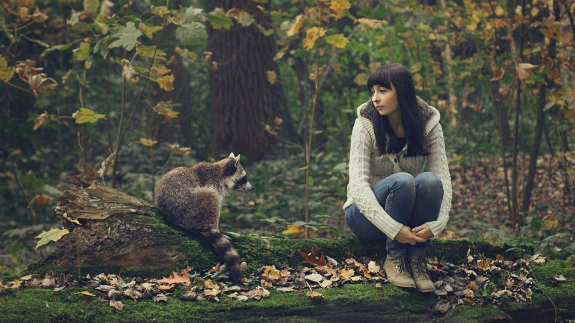 1080P, park - Man Made Space, cheerful, adult, cute, brunette, leaf, plant, full length, lifestyles, love, one animal, contemplation, outdoors, brown Hair, HD Wallpaper