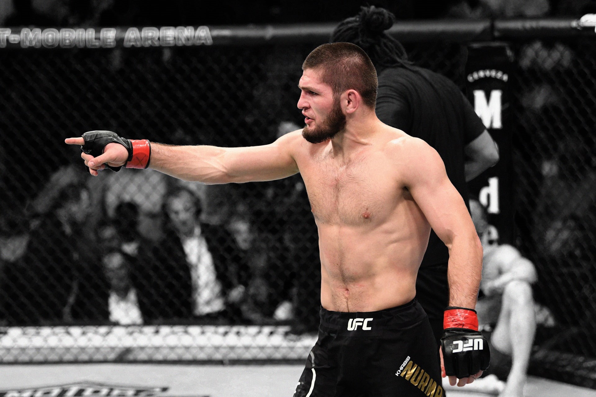 Mixed Martial Arts, Khabib Nurmagomedov, 1080P, Sports, HD Wallpaper
