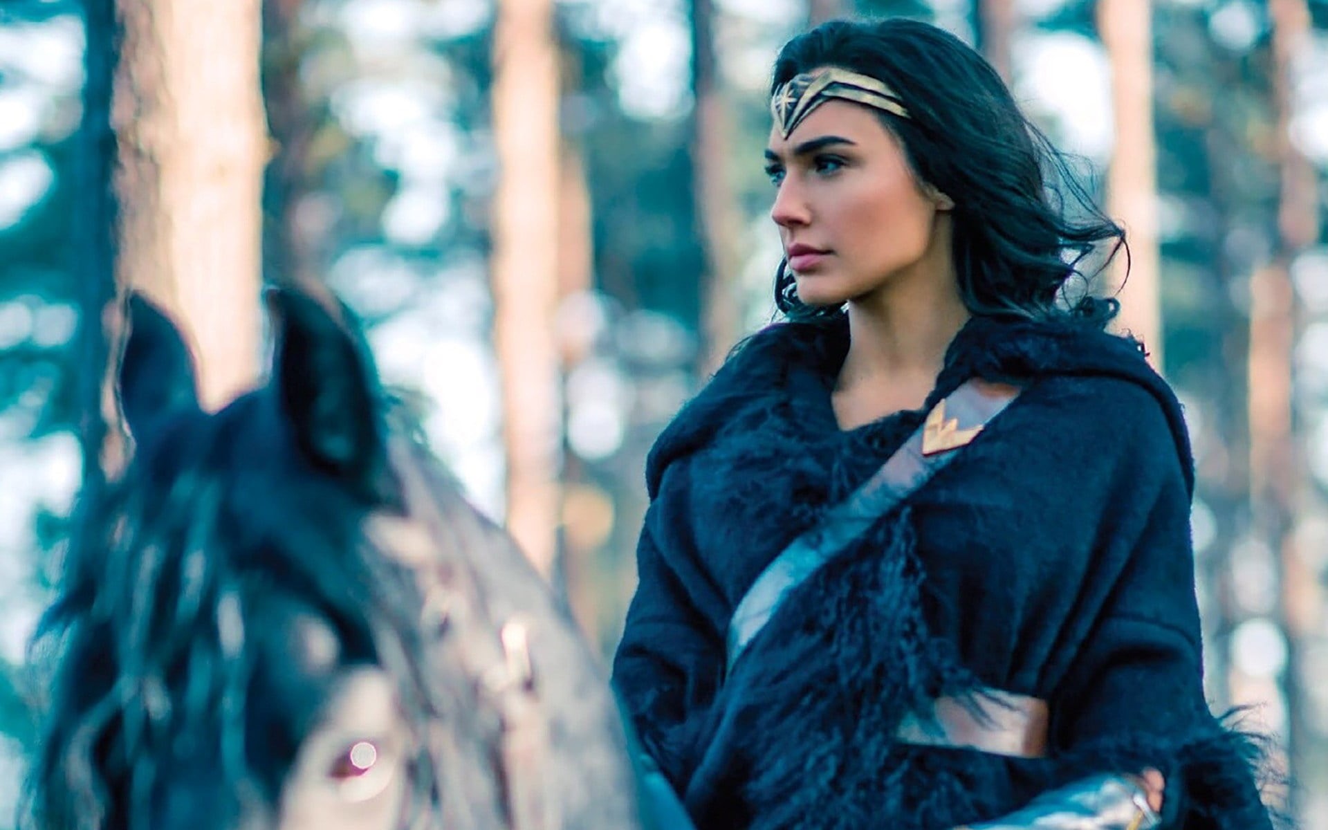 young women, gadot, warm clothing, gal gadot, contemplation, long hair, 1080P, hollywood, one person, wonder, glamour, beauty, Movies, prince, outdoors, HD Wallpaper